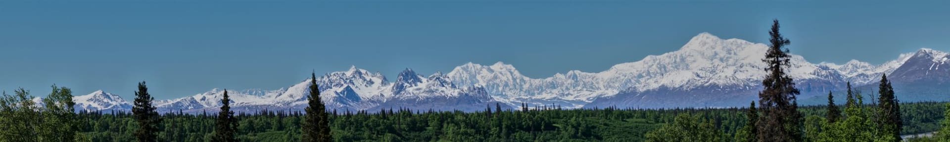 Talkeetna's historic downtown main street with Denali visible as a massive white wall on the horizon beyond the spruce trees