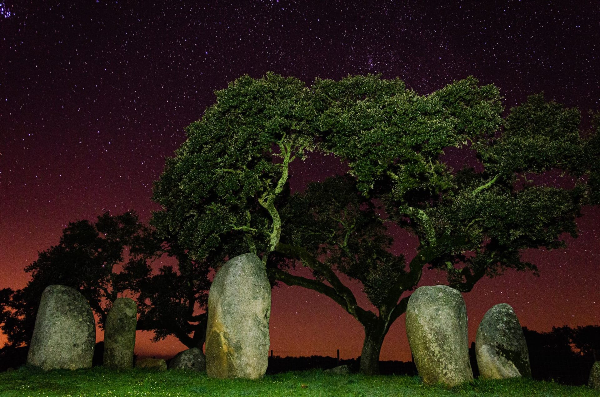 The ancient granite megaliths of Cromeleque dos Almendres rising from the red Alentejo soil amid silver-leaved olive trees