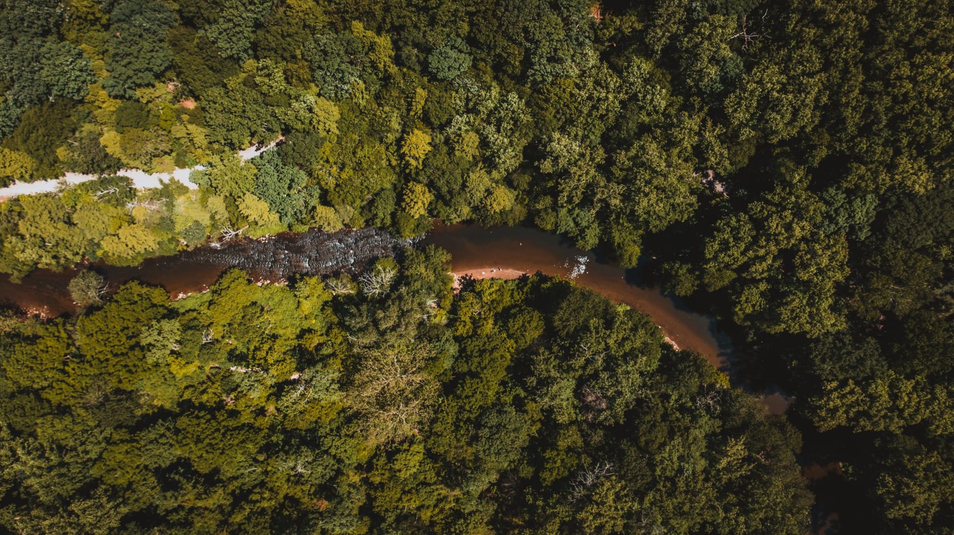 Dense Amazon rainforest canopy stretching to the horizon under a dramatic cloudy sky