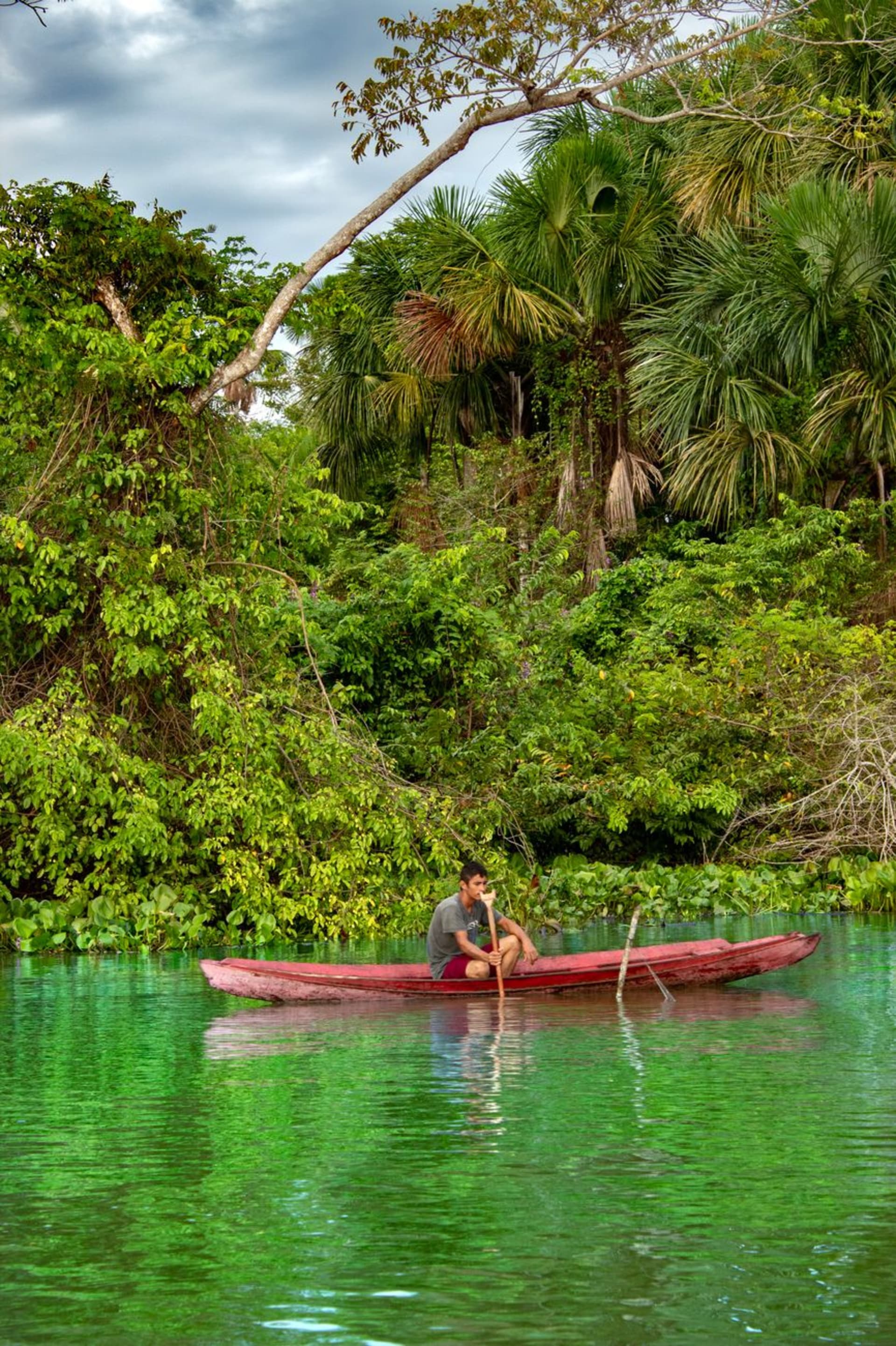 A man in a small boat on a vibrant green Amazon river surrounded by dense jungle vegetation