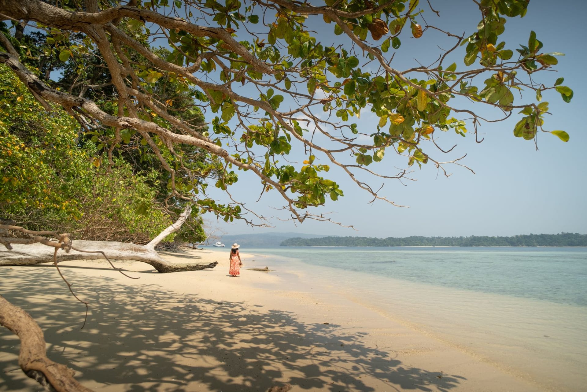 Empty Butler Bay beach on Little Andaman stretching to the horizon with untouched jungle behind white sand