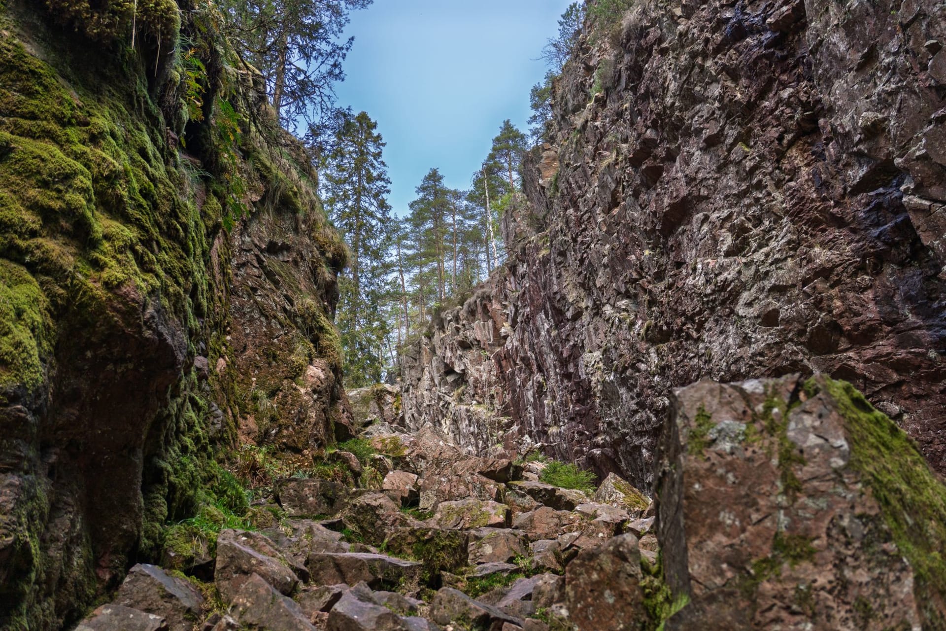 The edge of the Tundavala Fissure, the cliff dropping sheer into the distant coastal plain, morning mist rising from the valley below and the horizon dissolving into haze