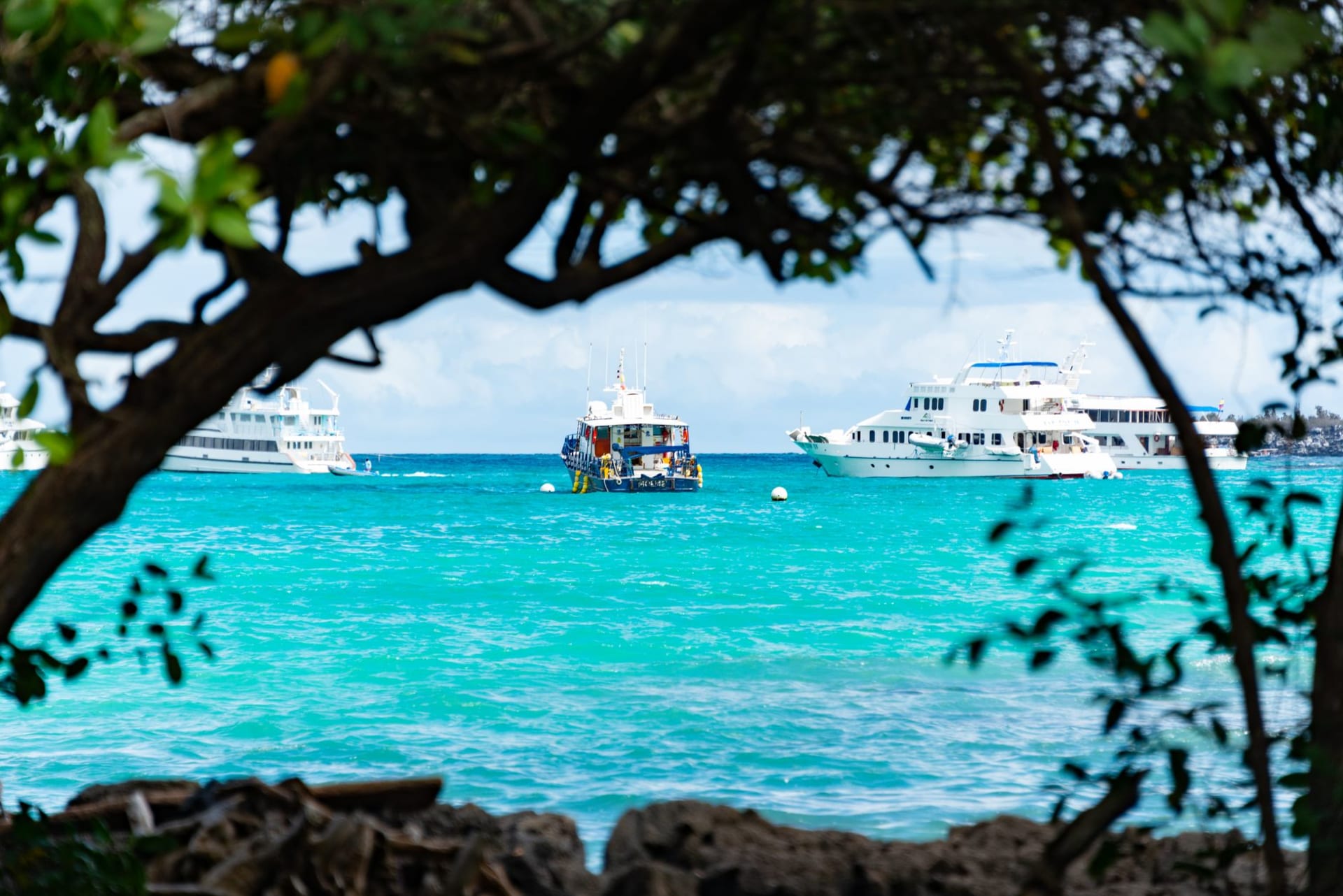 La plage de Dickenson Bay sur la côte nord-ouest d'Antigua — sable doré pâle en courbe dans une eau turquoise calme avec des voiliers ancrés au large sous une lumière matinale lumineuse