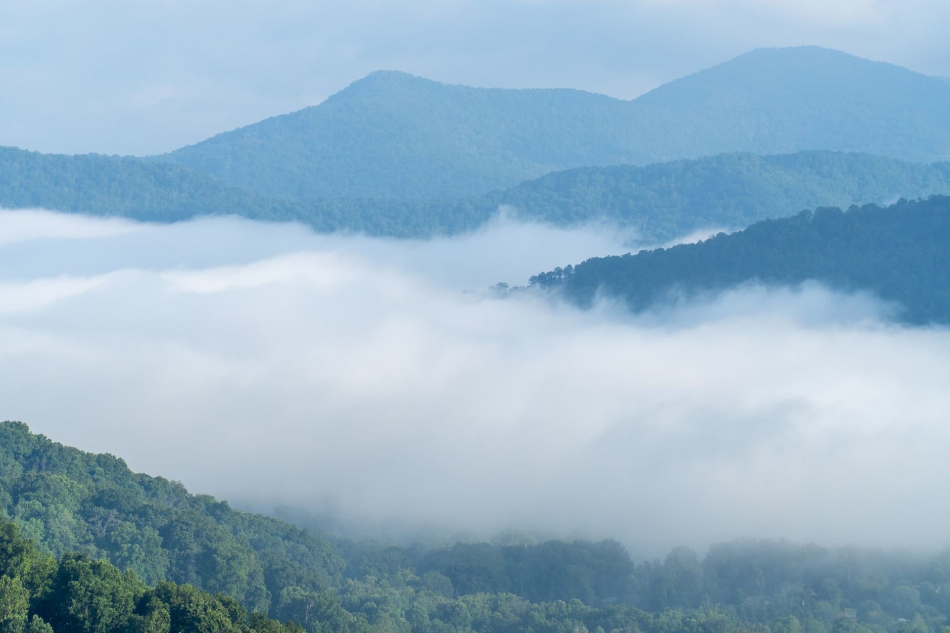 Layers of fog-covered Blue Ridge Mountain ridges rising above dense green forest near Asheville, North Carolina