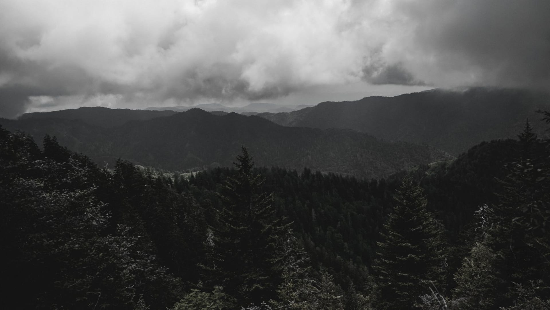 Blue smoky haze settling over layered ridgelines in Great Smoky Mountains National Park at dawn