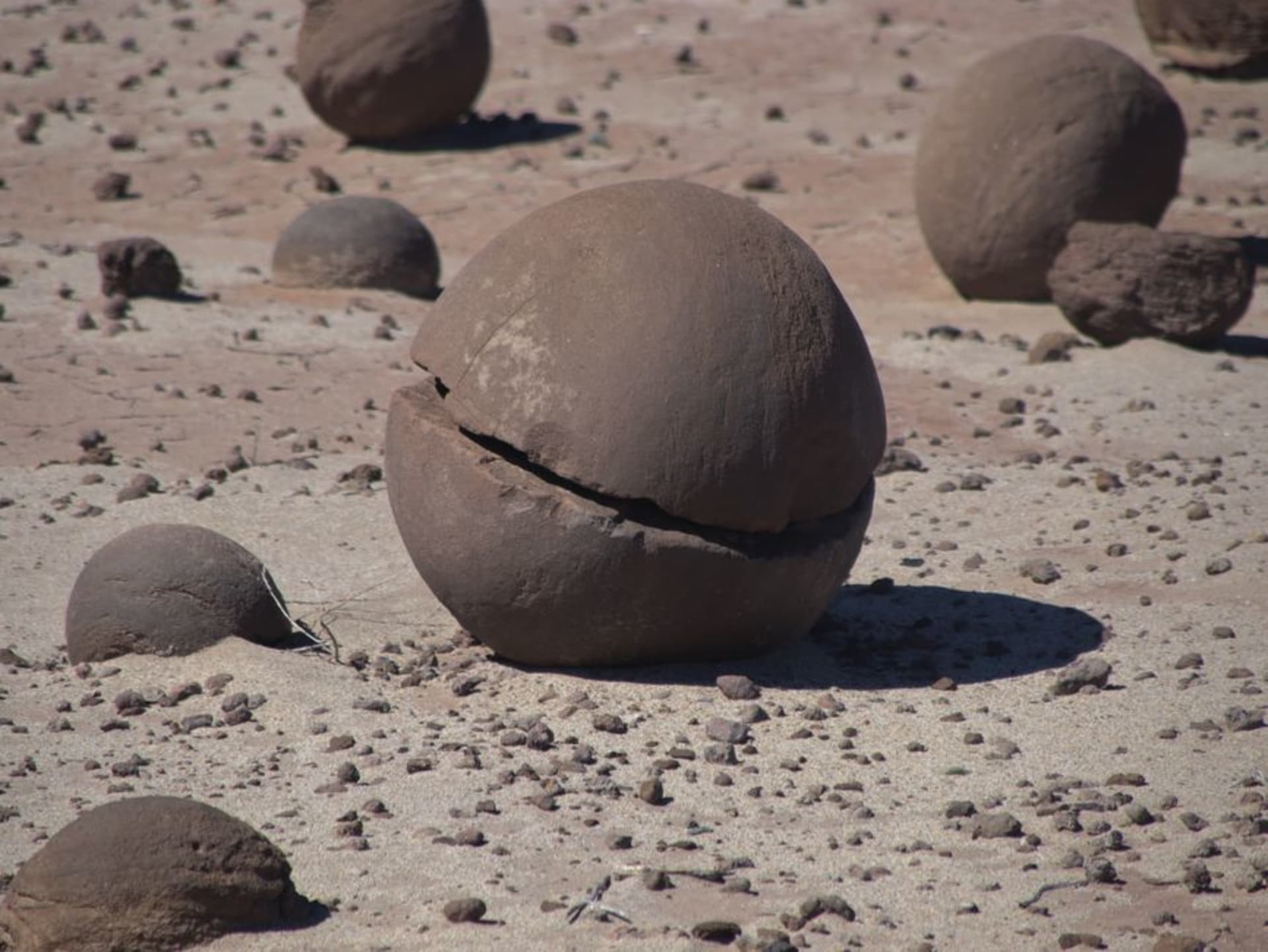 Des formations rocheuses érodées et surréalistes dans la Valle de la Luna d'Ischigualasto, évoquant un paysage lunaire sous un pâle ciel désertique