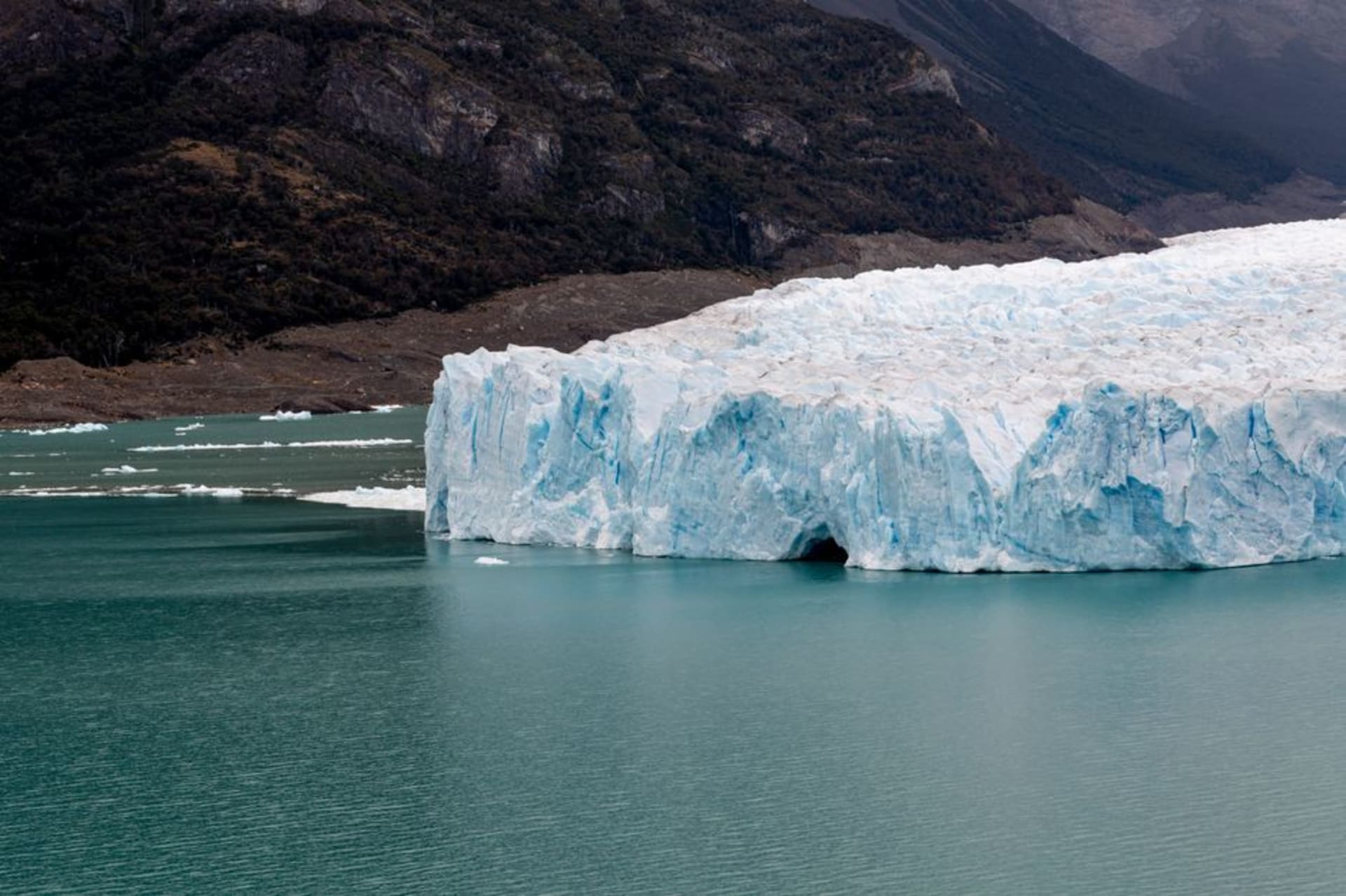 Les eaux glaciaires turquoise du Lago Argentino avec des icebergs flottant près du rivage
