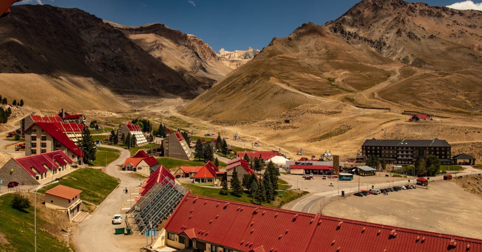Rows of grapevines stretching toward the snow-capped Andes mountains in Mendoza