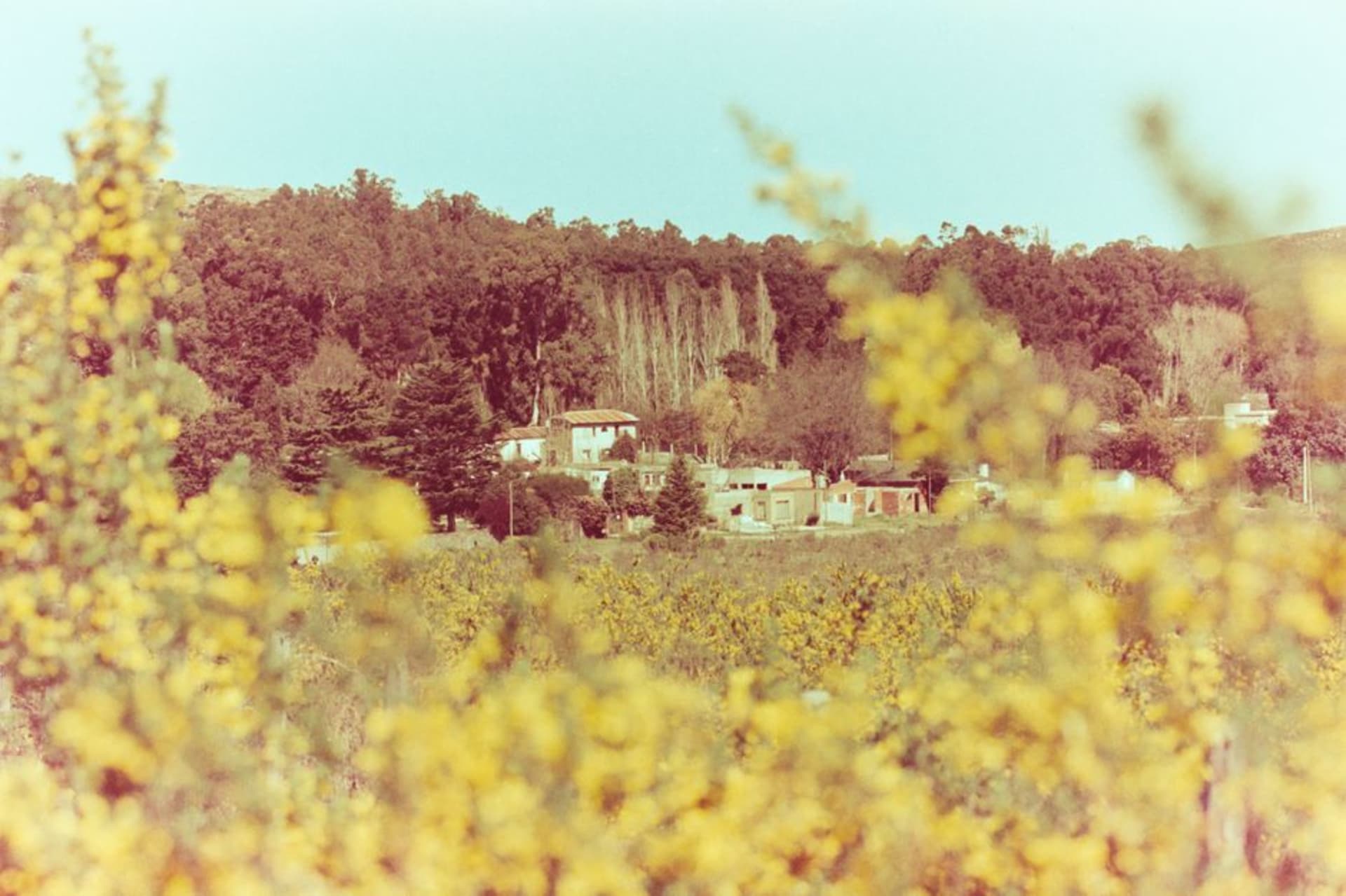 Rolling green hills of the Tandilia sierra with the town of Tandil visible below