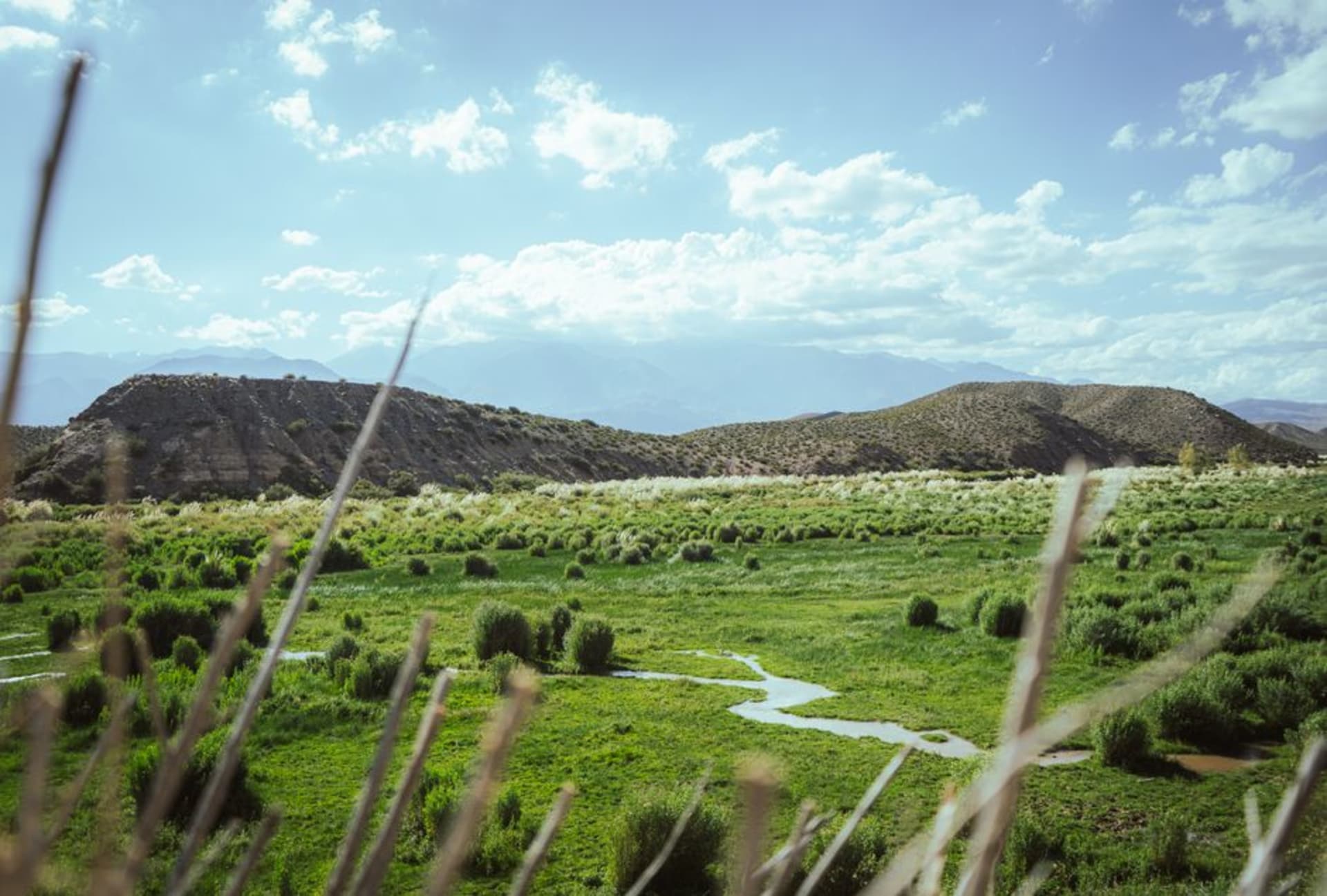 Amplio valle de desierto de altura con afloramientos de roca roja y picos andinos distantes cerca de Uspallata, provincia de Mendoza