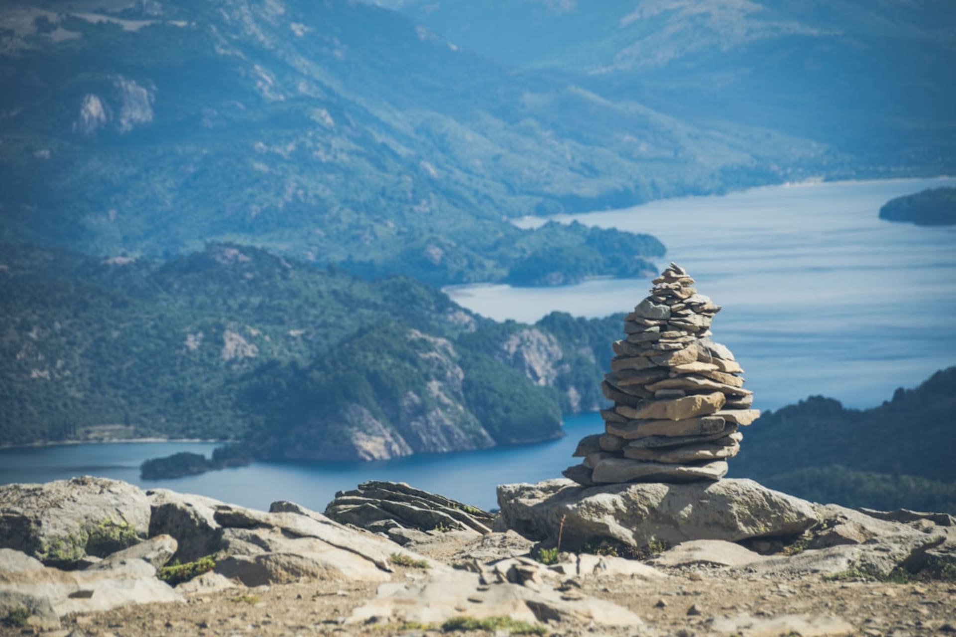 Costa del Lago Aluminé rodeada de araucarias cerca de Villa Pehuenia