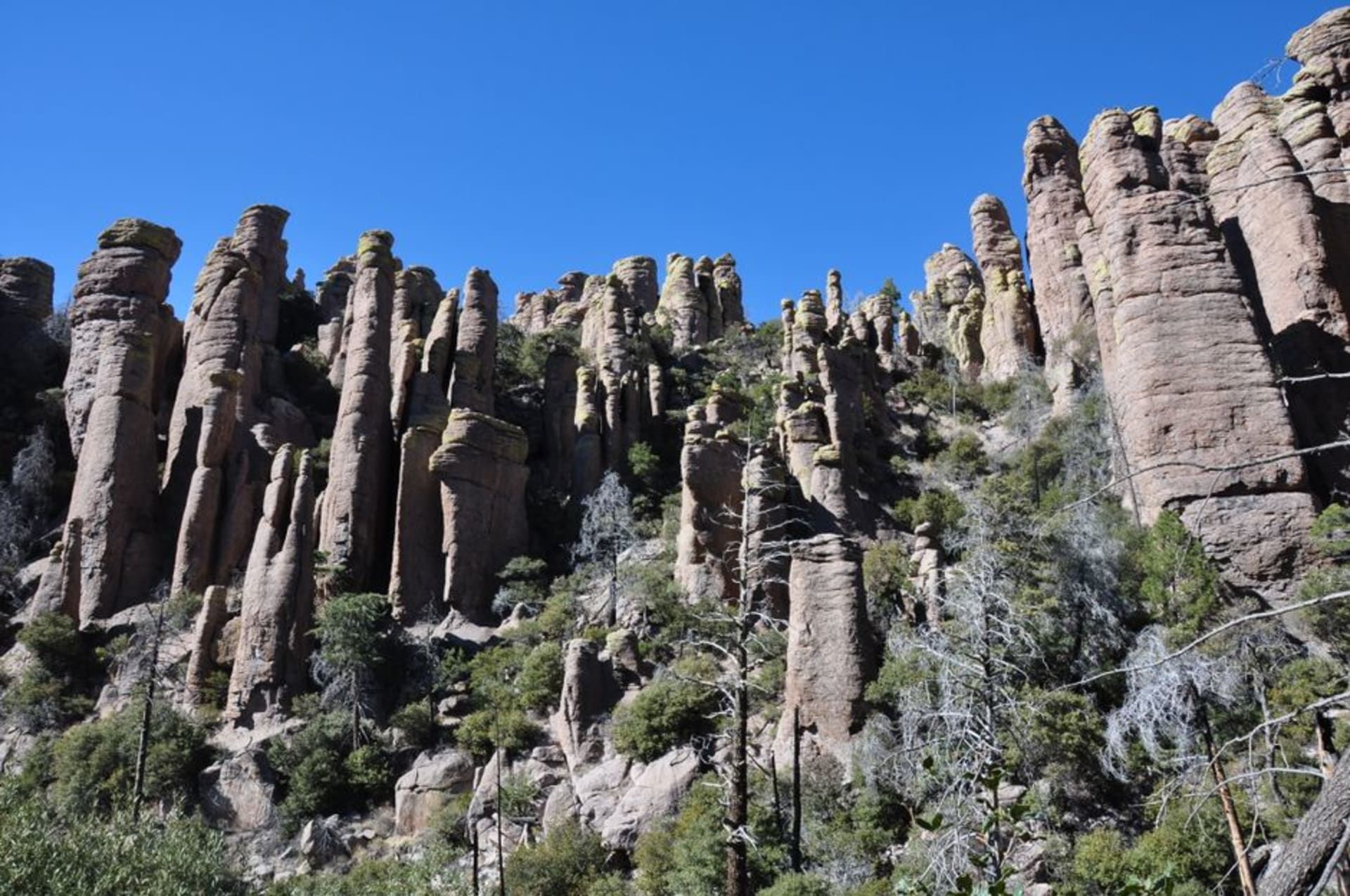Rows of towering rhyolite rock pinnacles rising above a forested canyon at Chiricahua National Monument