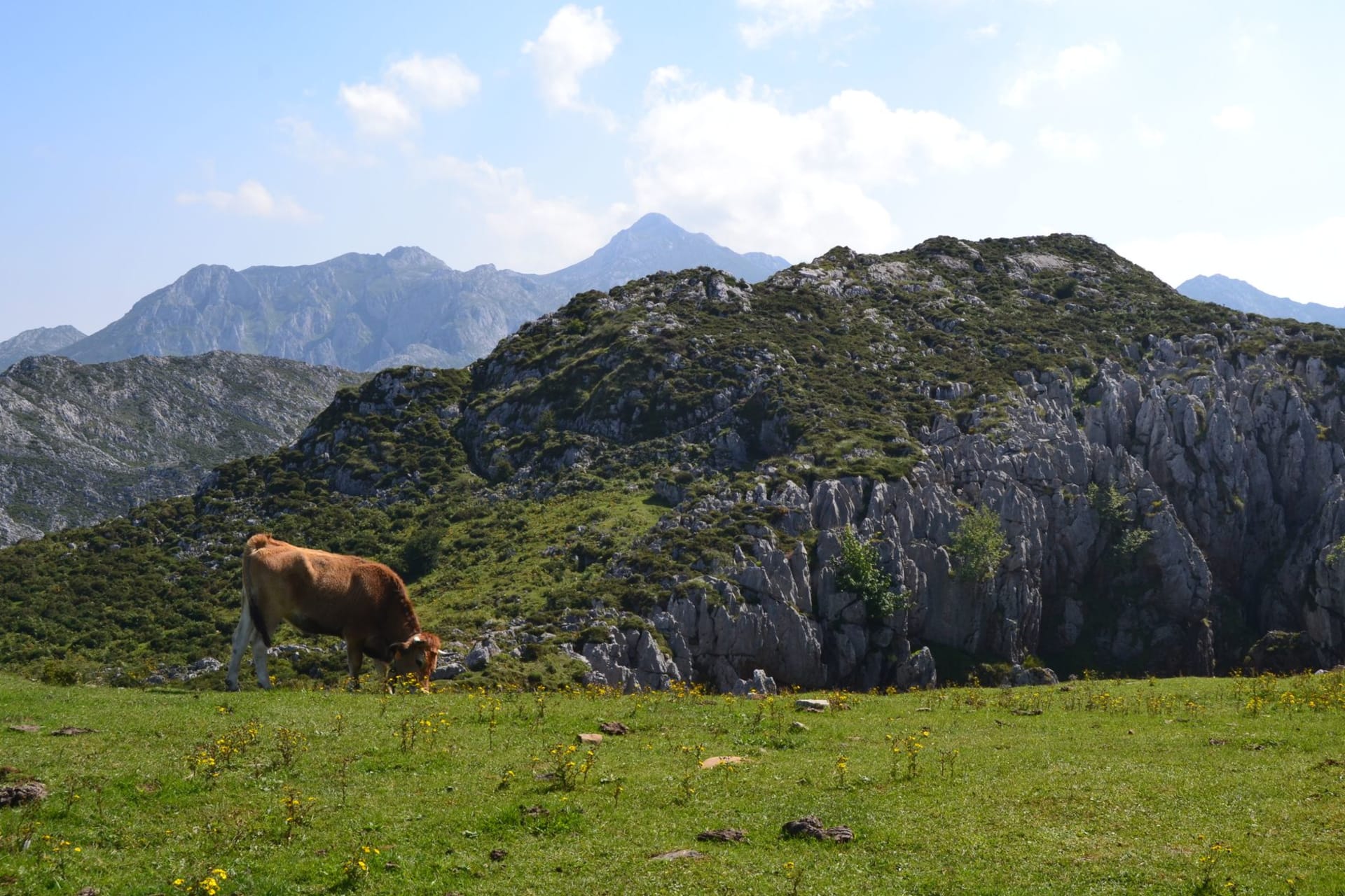 Taramundi village of stone houses and green hillsides in the remote western corner of Asturias on a misty day