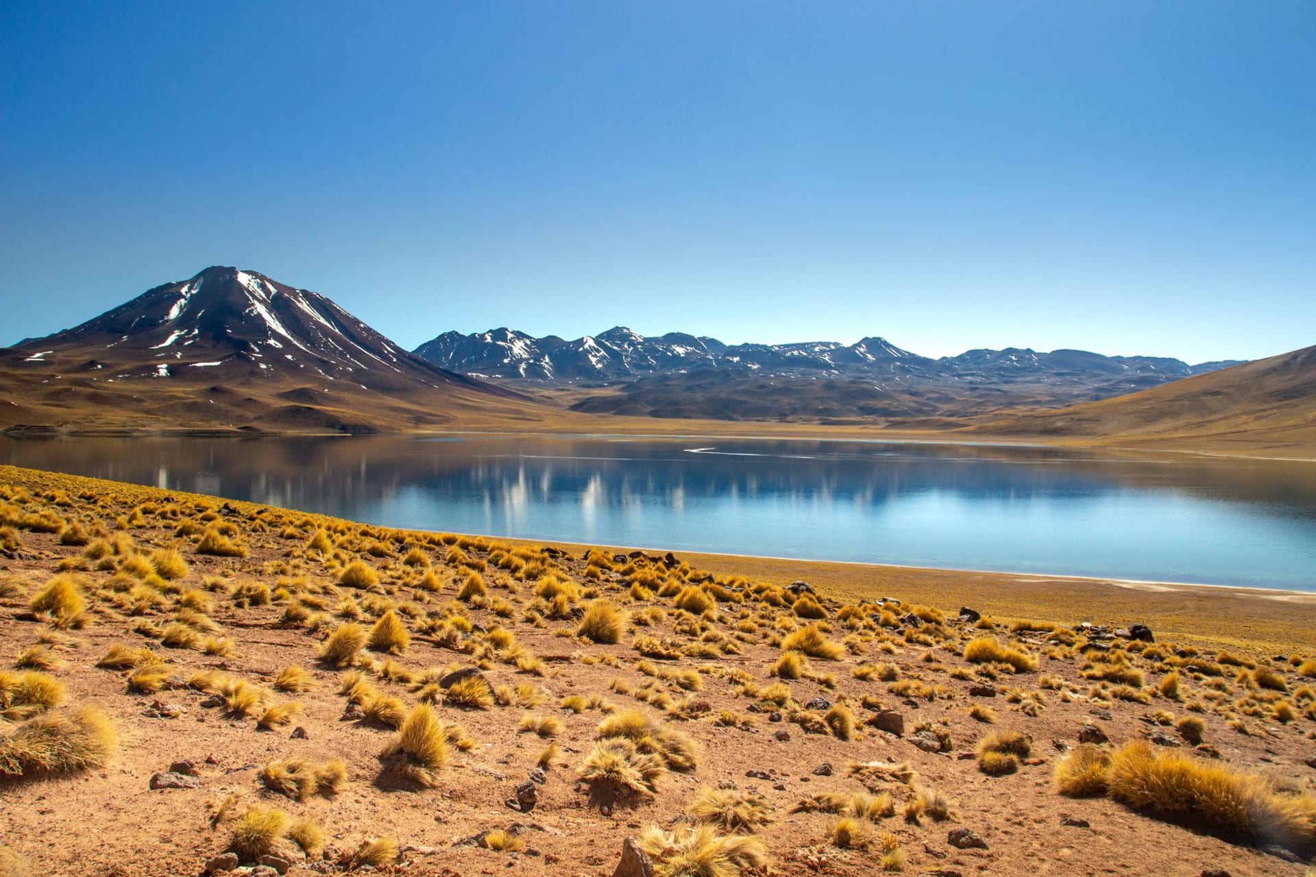 Laguna Miscanti's turquoise waters reflecting snow-capped Andean peaks and a cloudless blue sky at high altitude