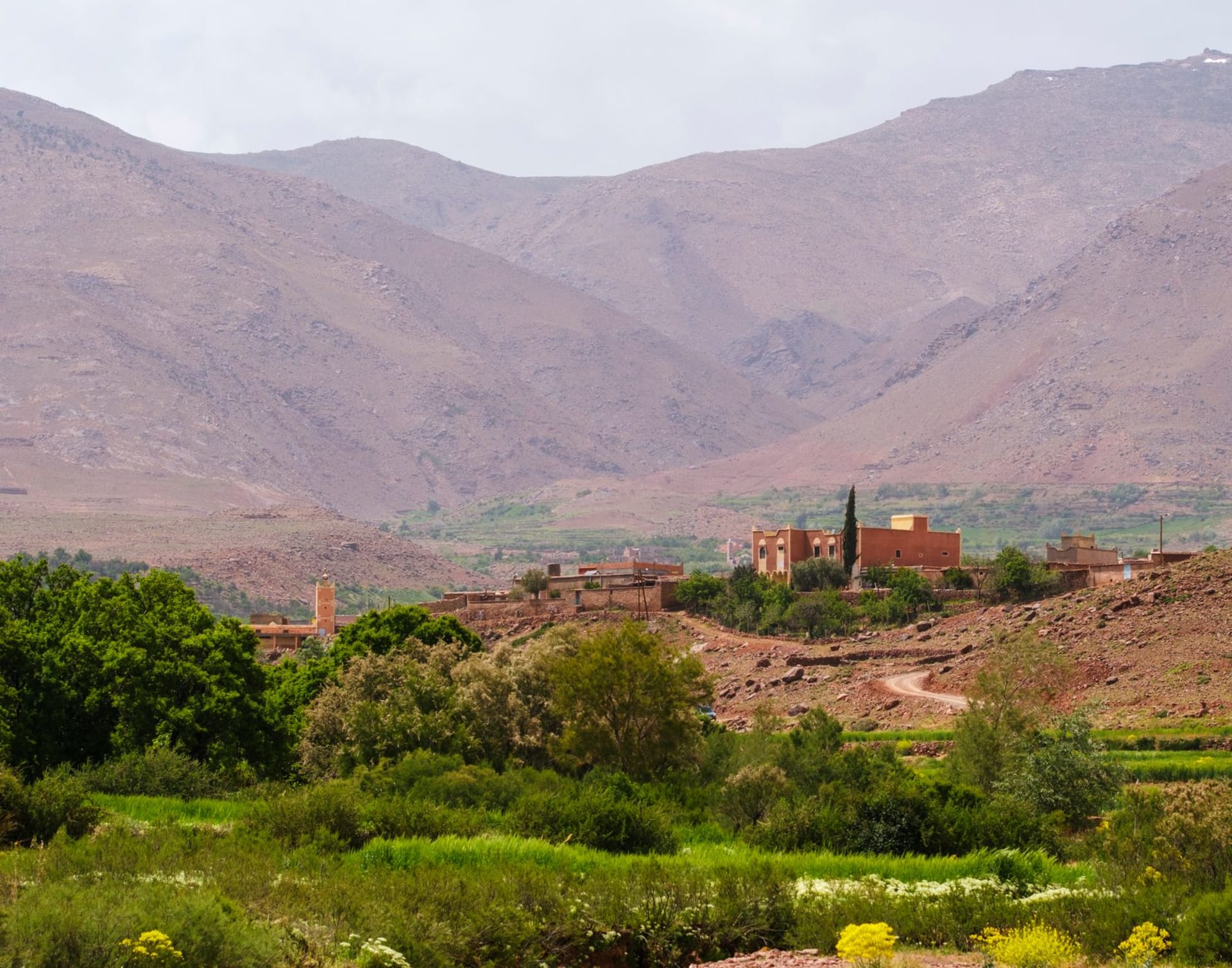 Tafraoute village in the Anti-Atlas surrounded by enormous pink granite boulders and almond orchards in late afternoon light