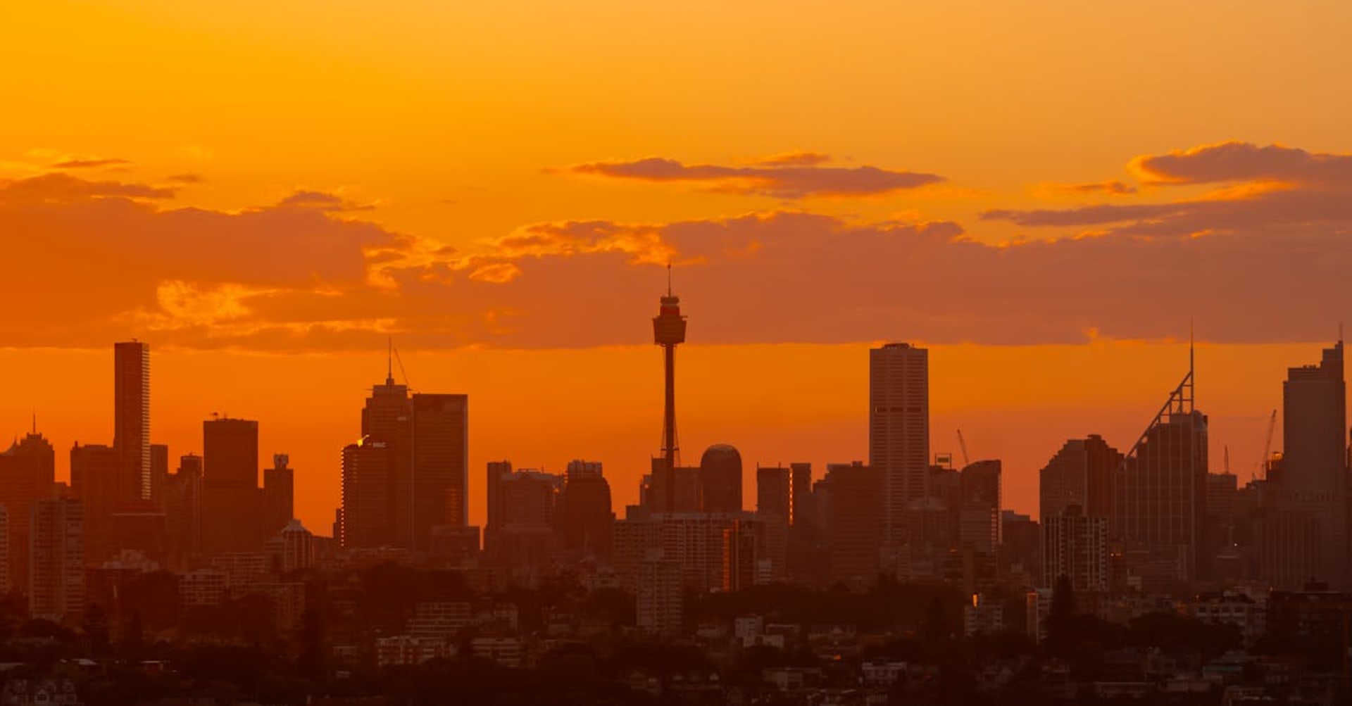Sydney Opera House and Harbour Bridge seen from the water at golden hour