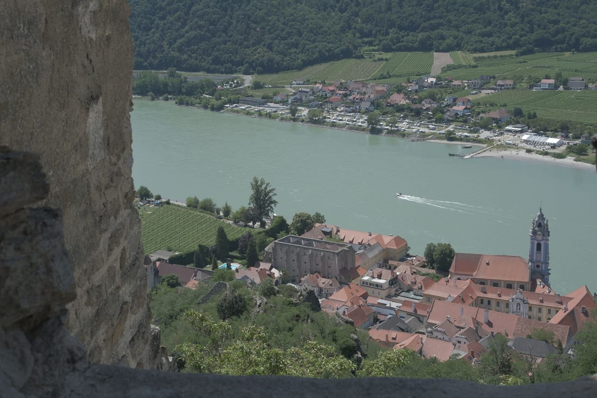 The cobalt-blue baroque tower of Dürnstein rising above terracotta rooftops and the silver Danube, framed by terraced vineyards on the rocky hillside
