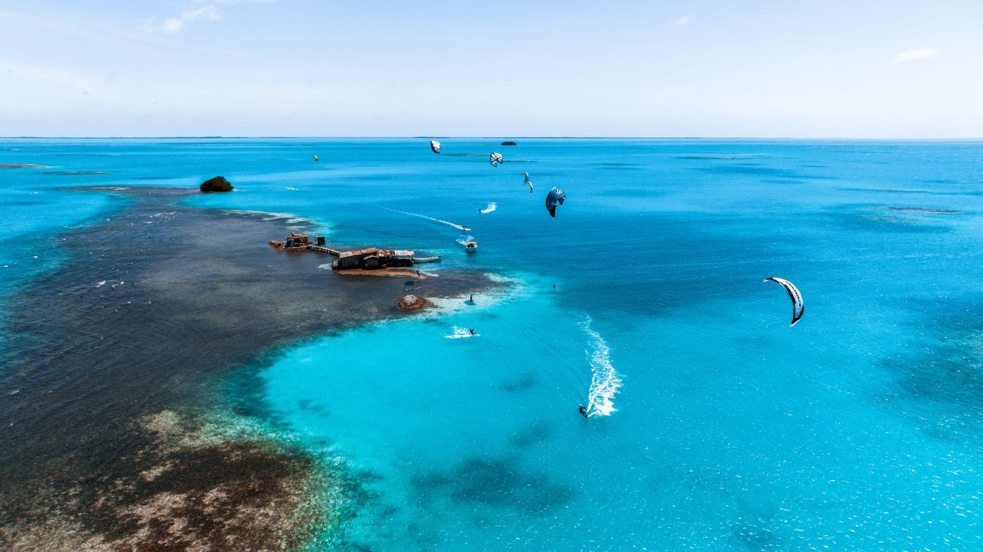 Andros Island's vast mangrove interior seen from above, with blue holes and creeks cutting through the green tangle