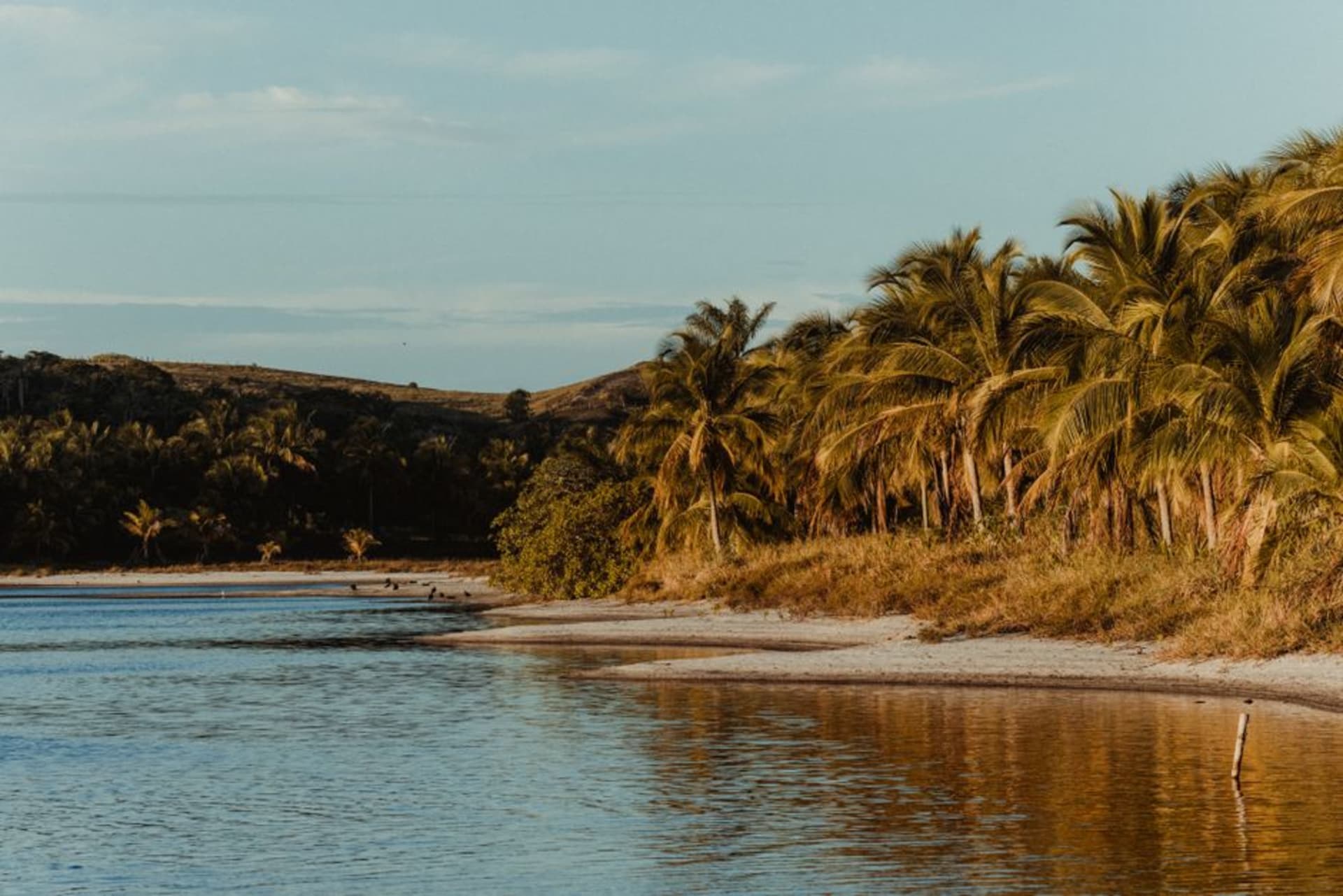 Agua turquesa en calma en una playa de Bahía Concepción con cardones y colinas desérticas elevándose directamente desde la arena