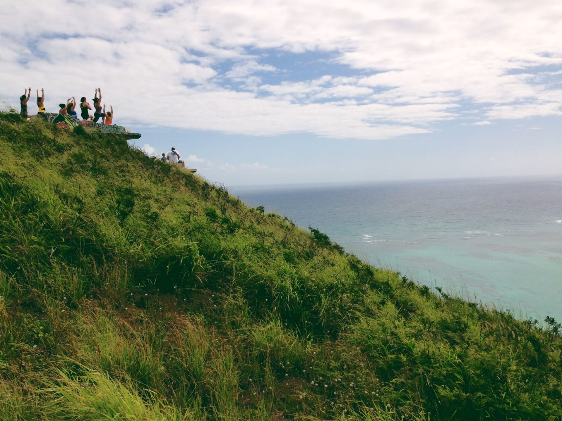 The avenue of mahogany trees at Cherry Tree Hill with the Scotland District and Atlantic coastline visible in the distance