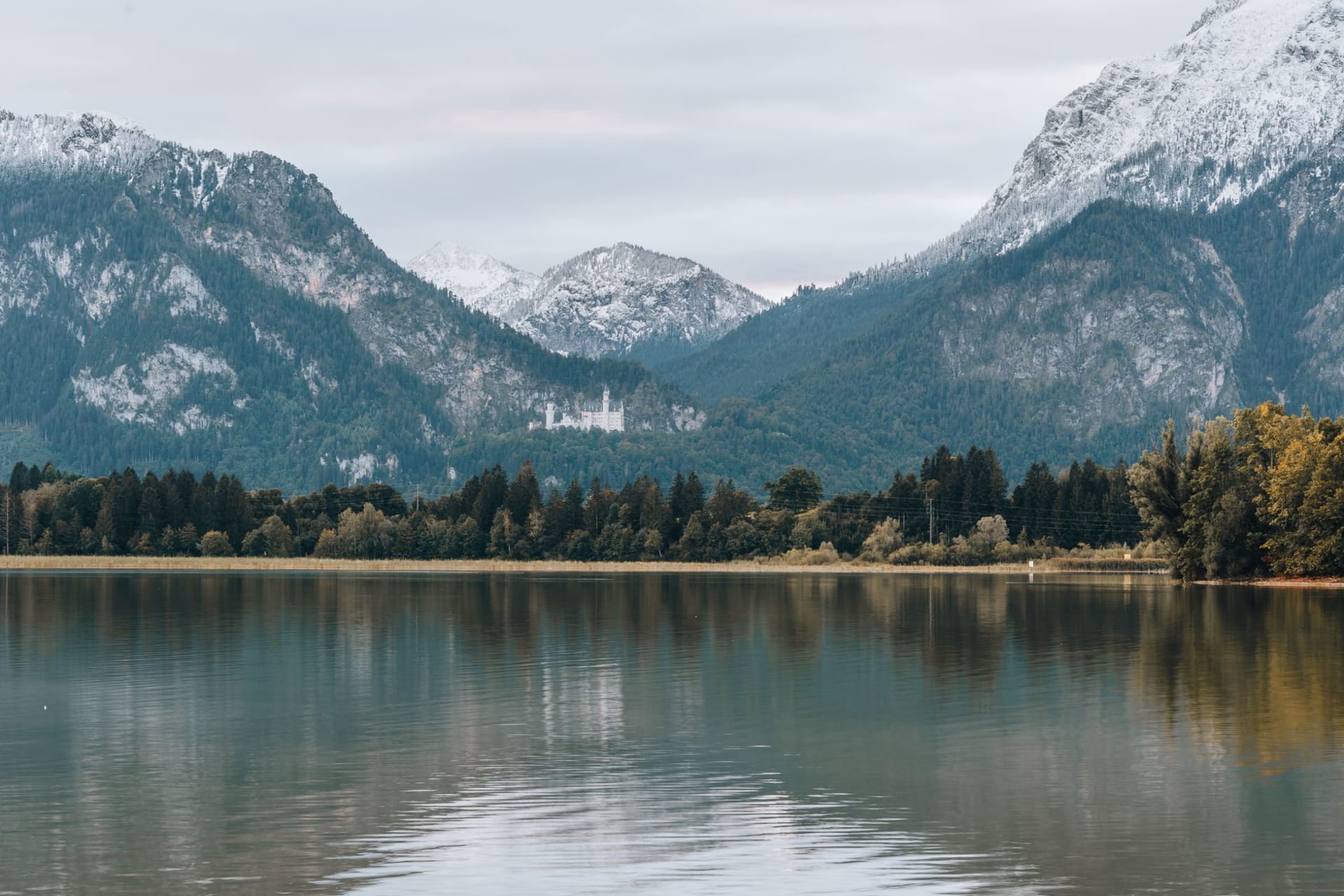 Neuschwanstein Castle rising above forested slopes with Alpsee Lake reflecting the scene below, Bavarian Alps, Germany