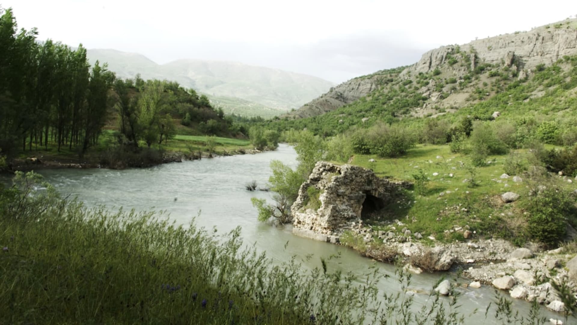 Reeds and open water at the Ammiq Wetland with the western Bekaa hills rising behind the marsh