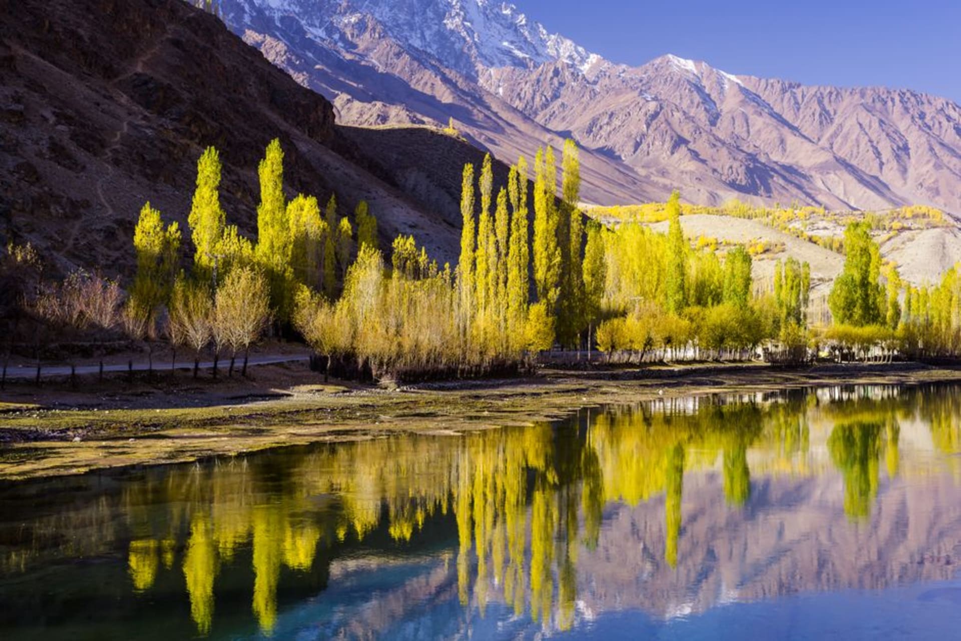 The still lakes of the Taanayel farm estate reflecting poplar trees, with the old Jesuit monastery buildings in the distance
