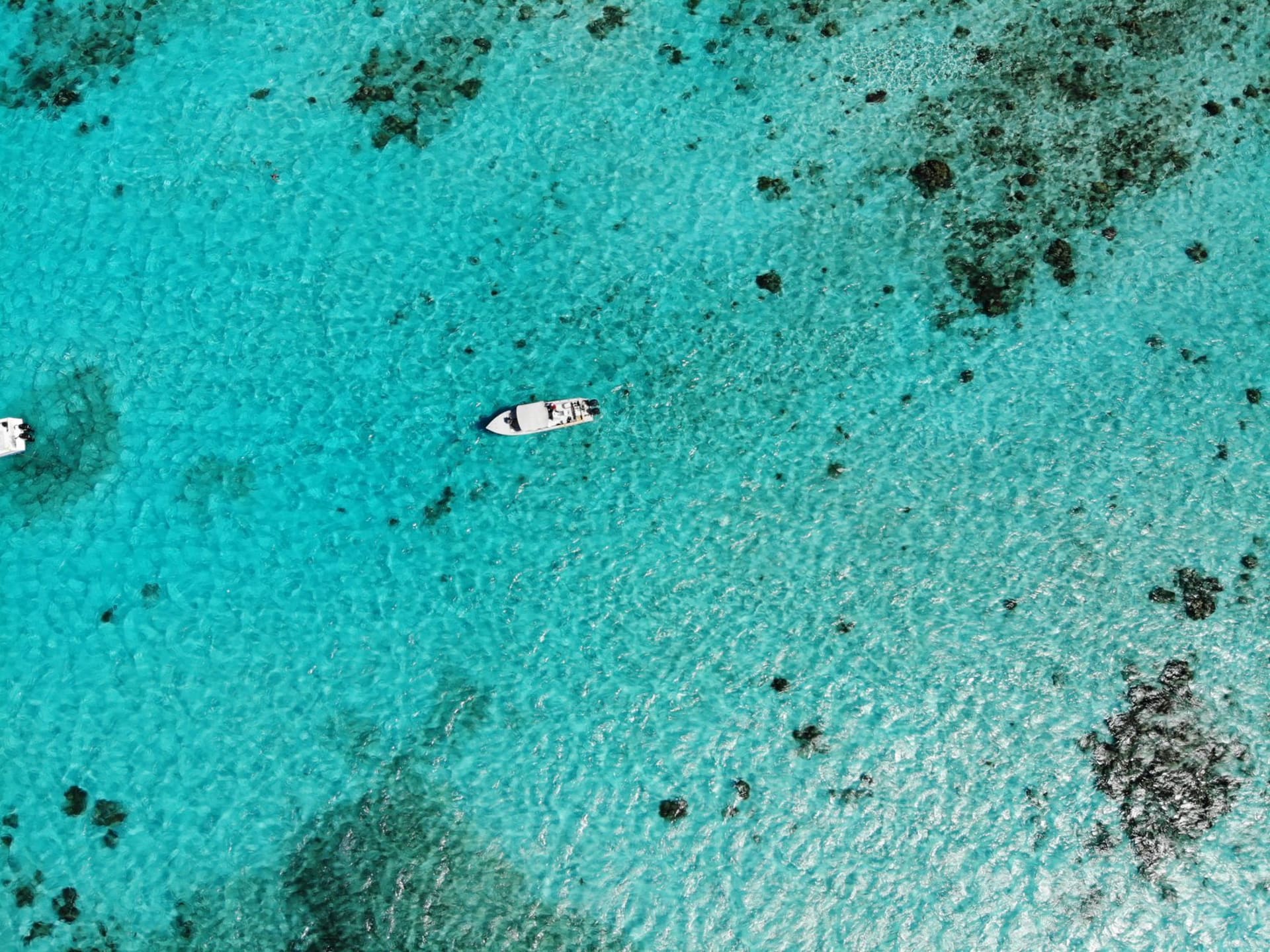 Aerial view of white boats moored on the clear turquoise waters of the Belizean cayes, with the reef visible beneath the surface
