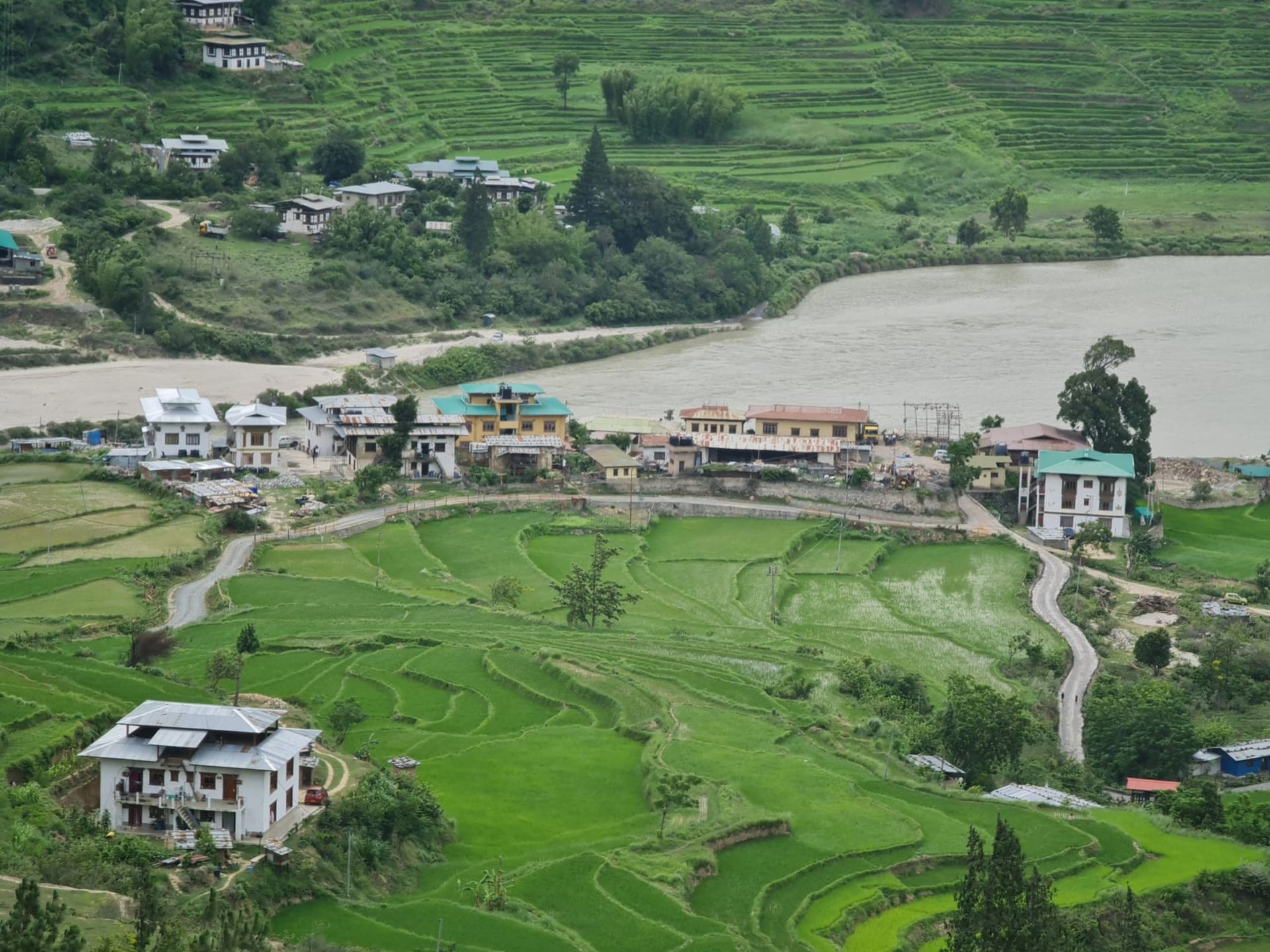 Black-necked cranes flying low over the wide flat marshland of Phobjikha valley with Gangtey monastery on the hill above