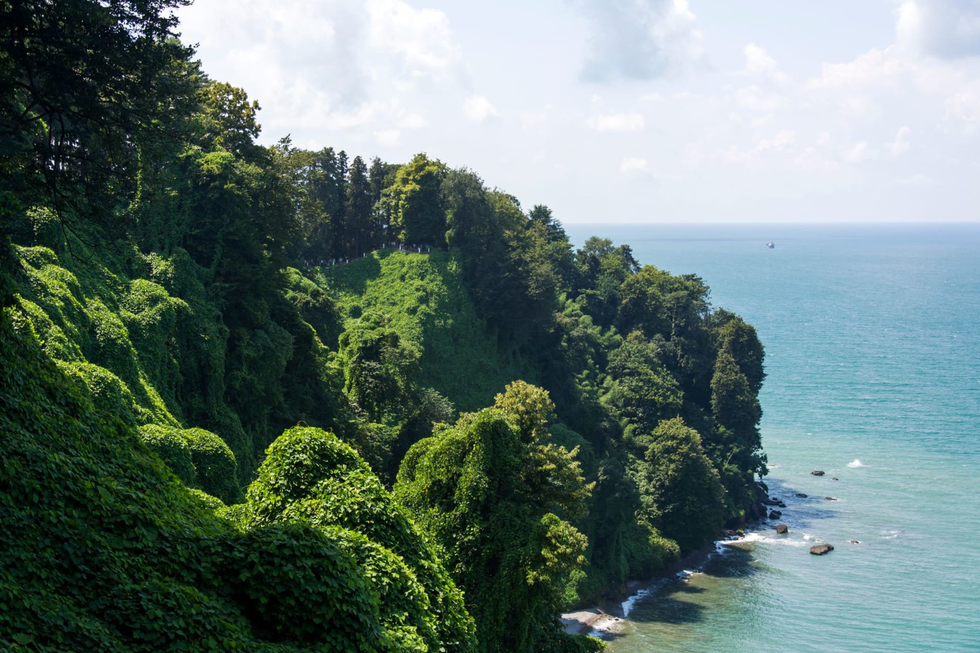 Verdant cliffs tumbling toward the calm turquoise water of the Black Sea near Batumi, Georgia, under a hazy afternoon sky