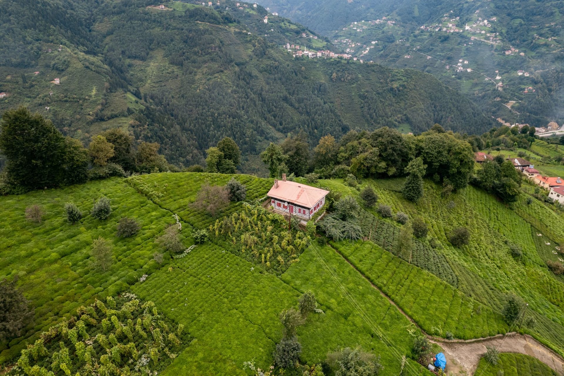 La Hagia Sophia bizantina de Trabzon emergiendo sobre frondosos jardines con el Mar Negro brillando detrás