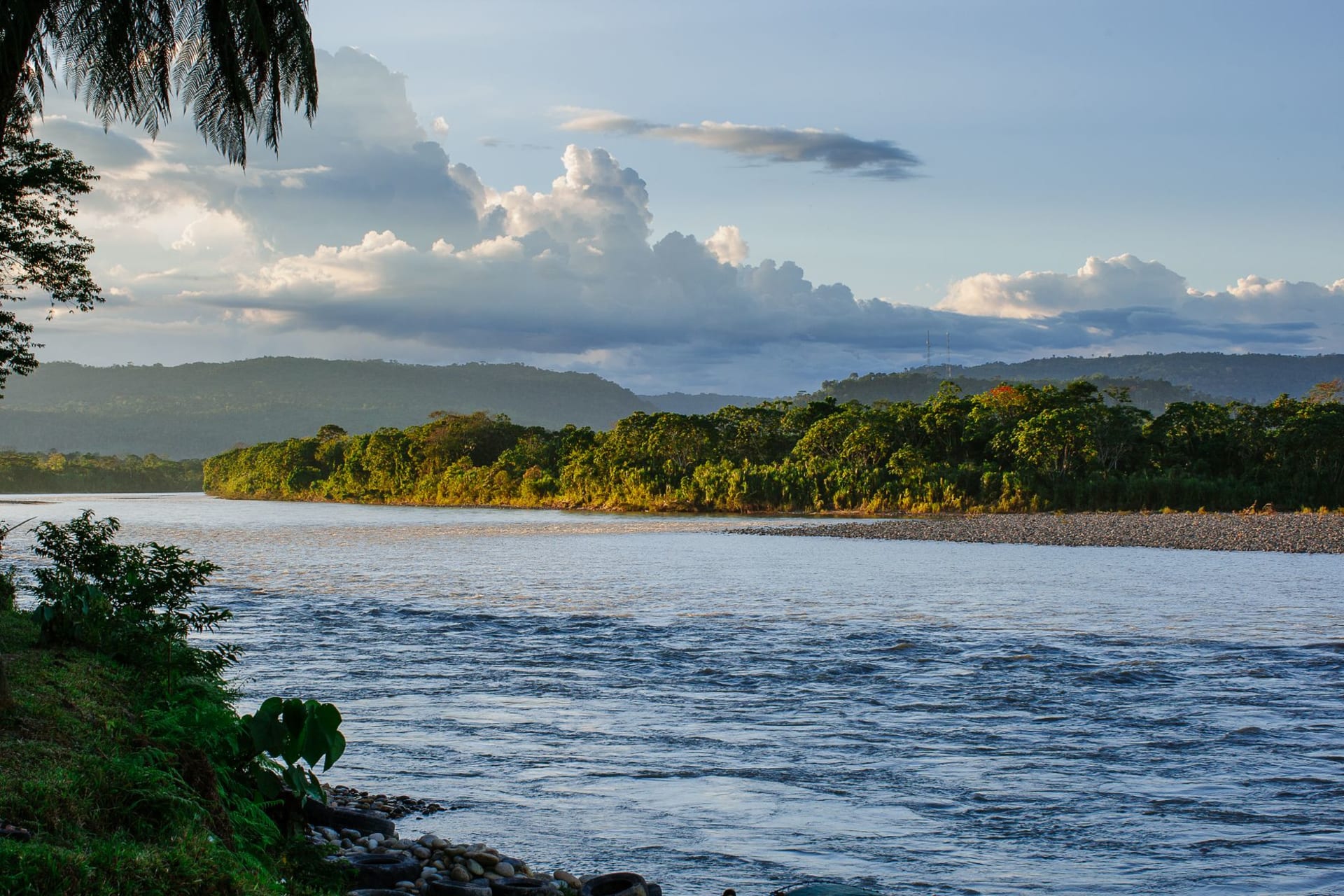 Flat-bottomed wooden boat moving through flooded pampas at golden hour, a caiman motionless on a mudbank in the foreground