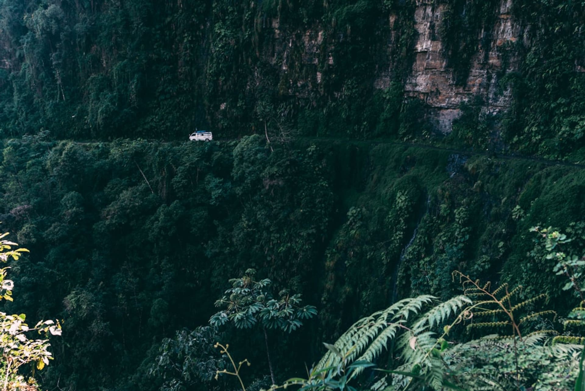 Dense rainforest canopy of Madidi National Park at dawn with mist rising over the Tuichi River