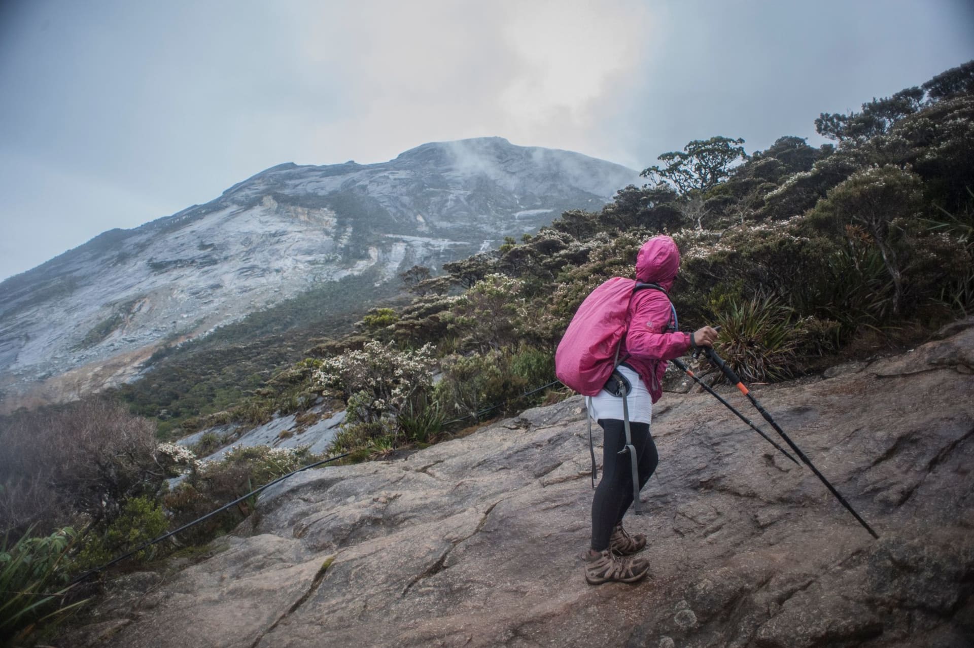 Cima dentada de granito del Monte Kinabalu emergiendo de un mar de nubes al amanecer, Sabah