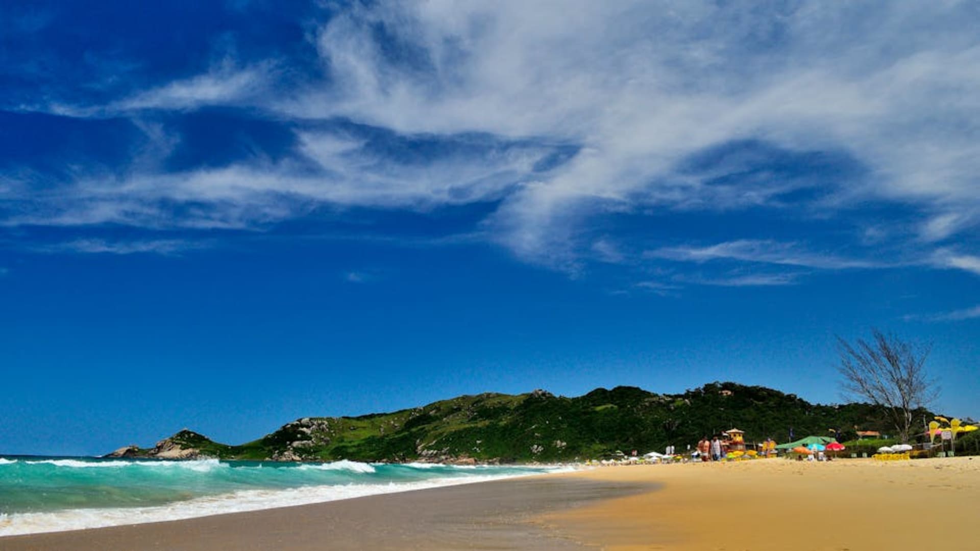 Aerial view of Florianopolis beaches and green hillsides
