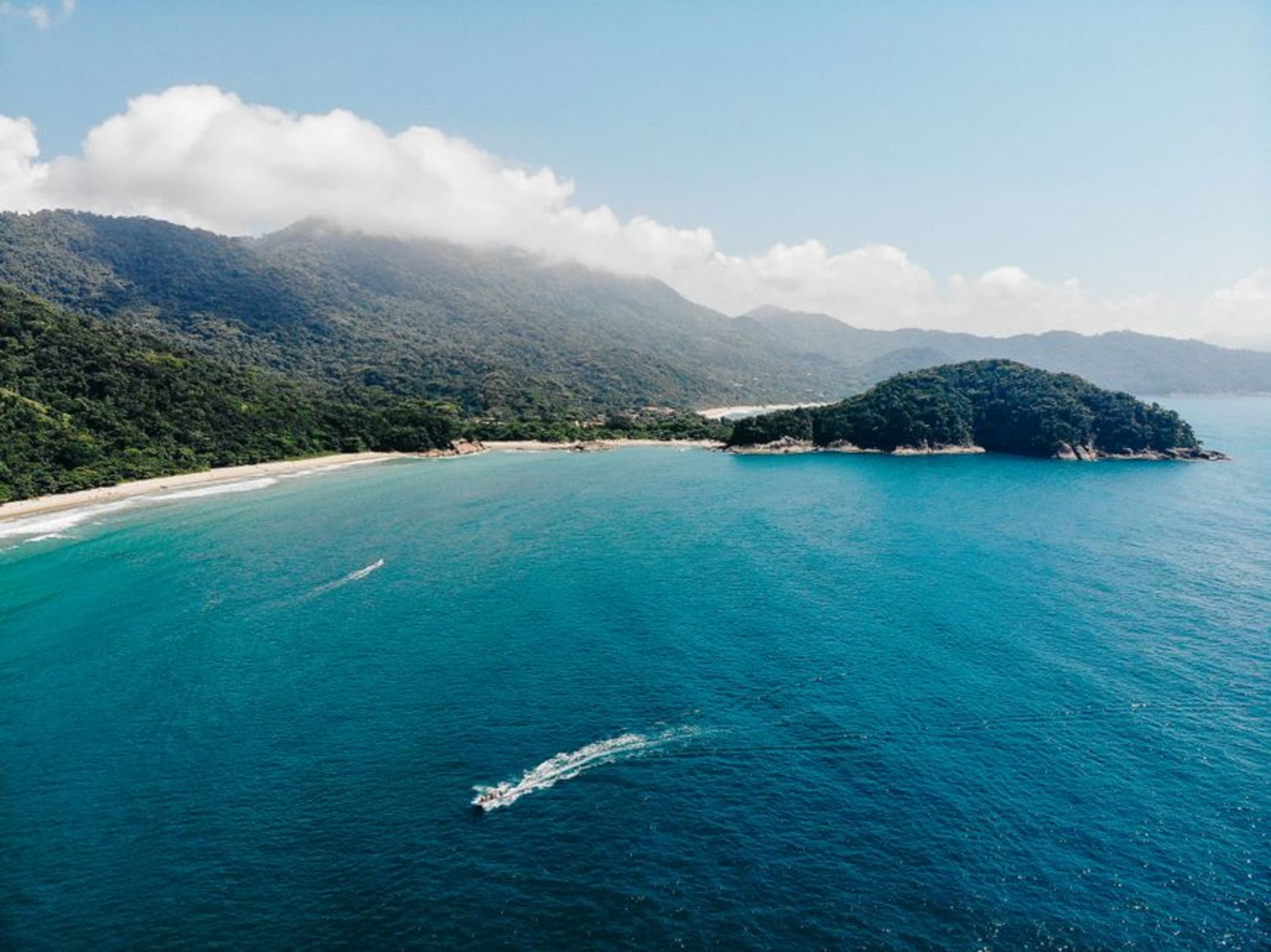 Untouched white sand beach backed by dense rainforest on Ilha do Cardoso