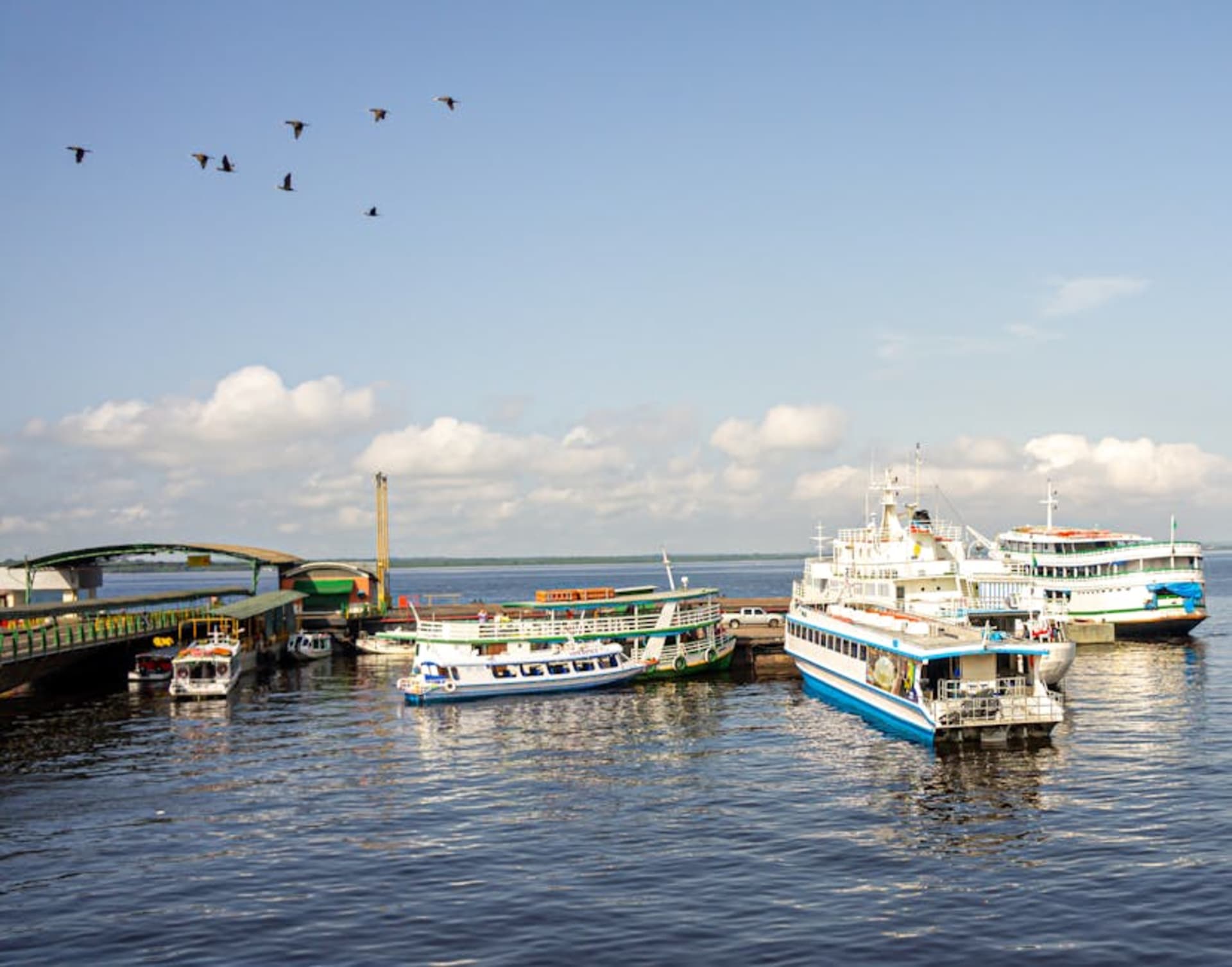 The Amazon River winding through dense rainforest near Manaus