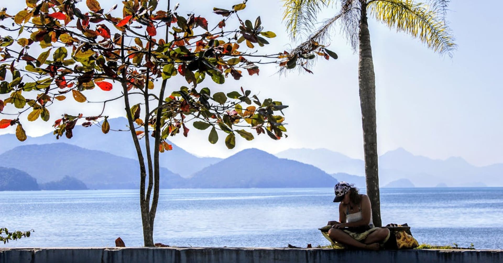 Jaguar resting on a riverbank in the Pantanal wetlands