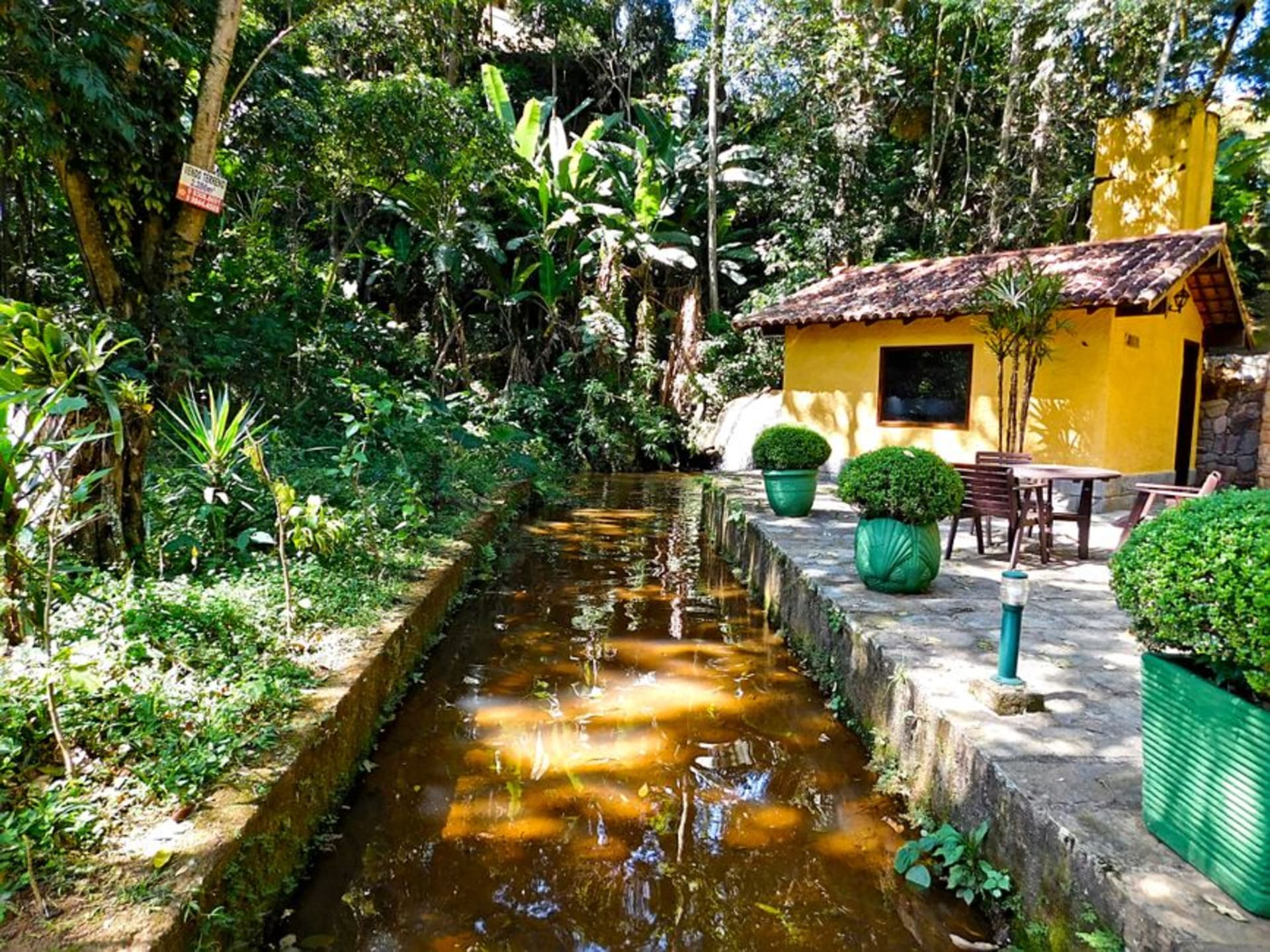 A clear mountain river running through pine and Atlantic forest near Visconde de Maua in the Serra da Mantiqueira