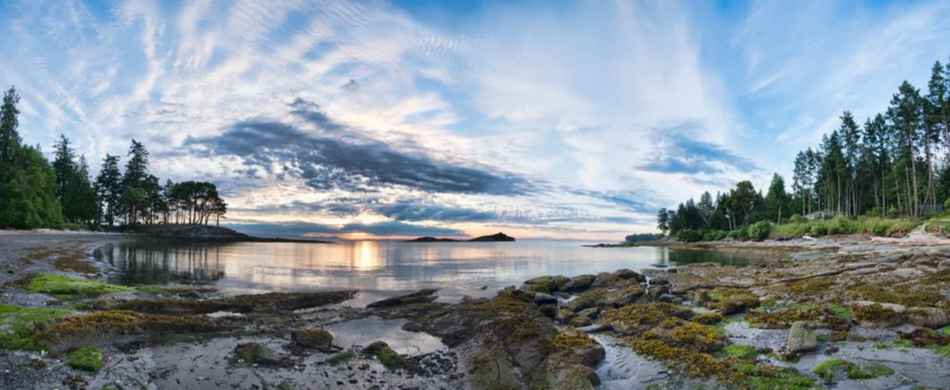 A rocky bluff on Galiano Island with wind-sculpted arbutus trees overlooking the calm waters of the Salish Sea
