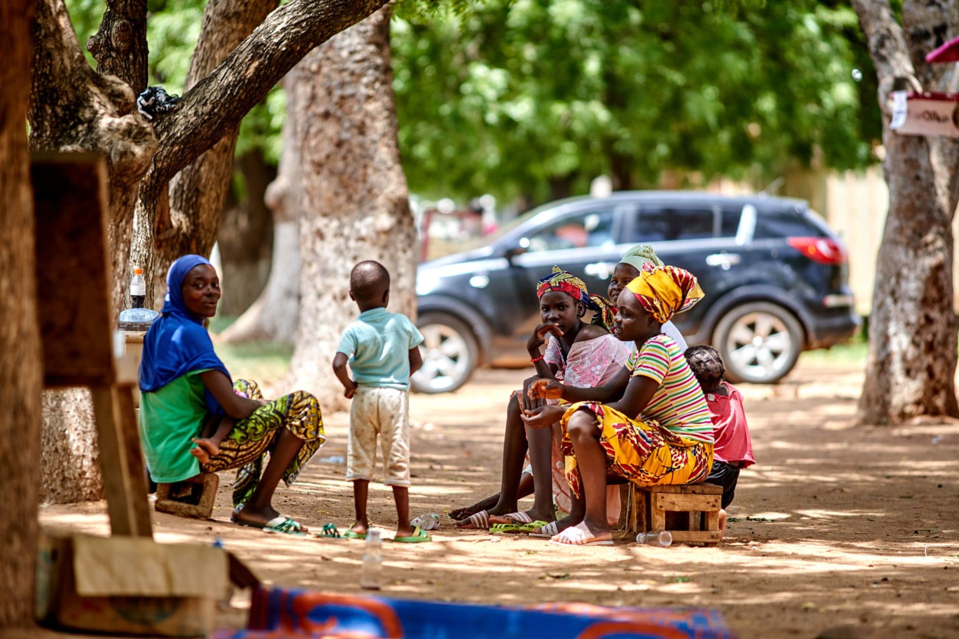 Una manada de elefantes africanos reunidos en un punto de agua en el Rancho de Nazinga en el sur de Burkina Faso, el bosque seco brillando en naranja con la última luz