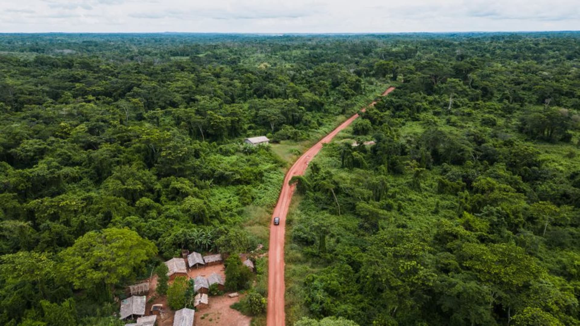 Dense canopée de forêt primaire de la réserve de faune du Dja vue d'en haut, avec la rivière Dja serpentant entre les arbres