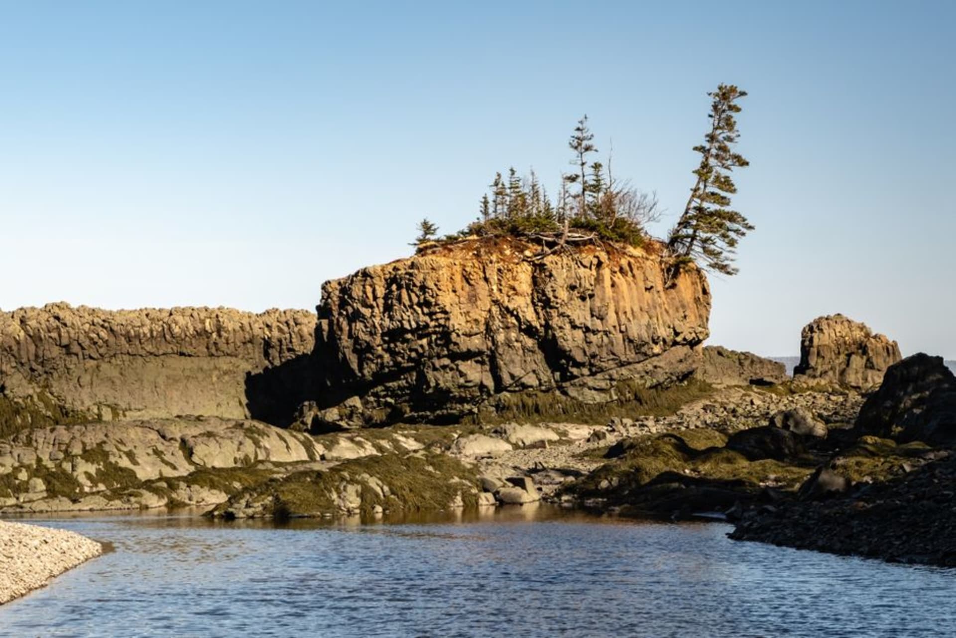 Wide tidal flats of the Bay of Fundy exposed at low tide beneath a pink evening sky
