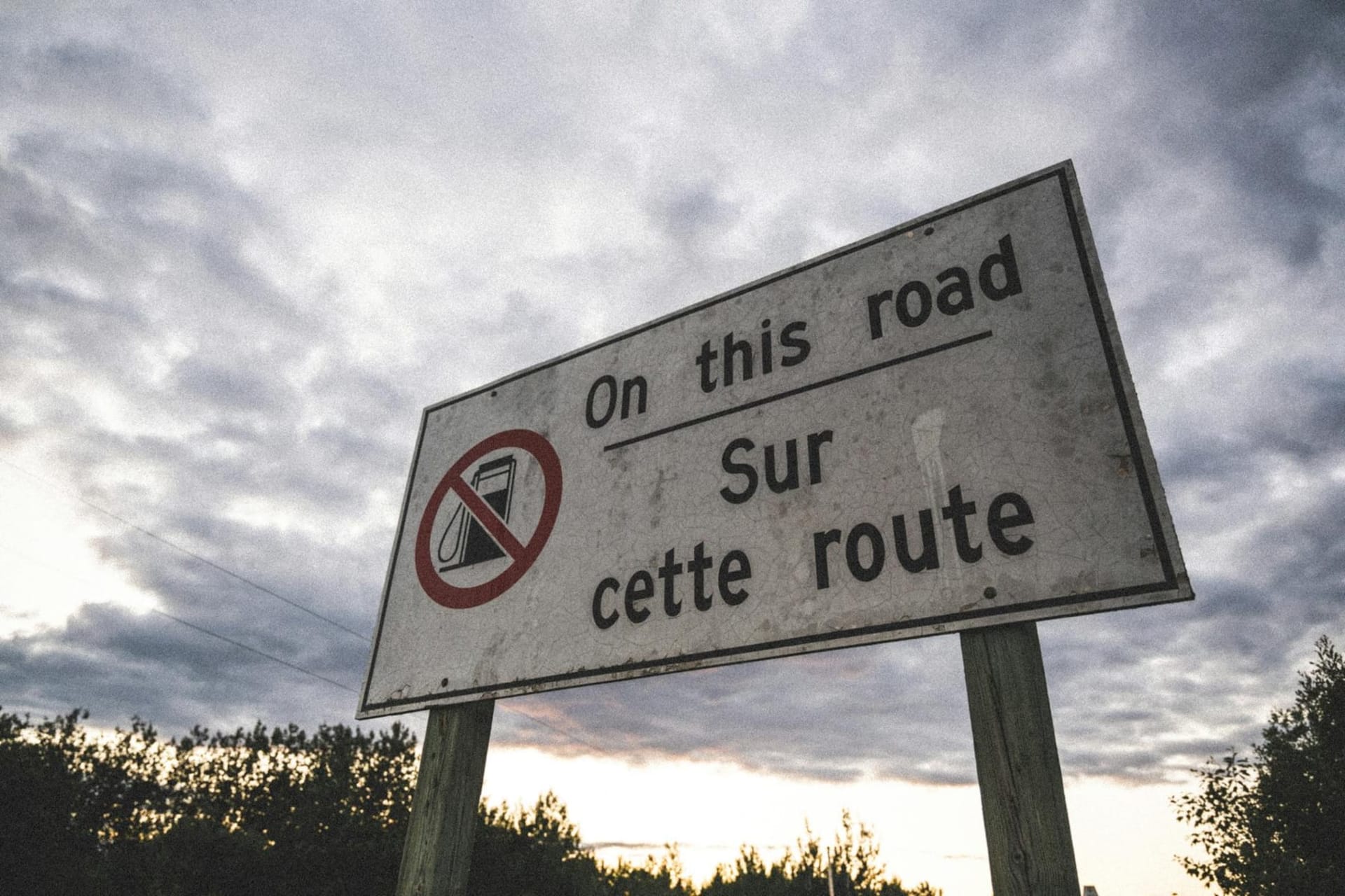 A polar bear standing on frozen tundra at dusk, its cream-coloured fur catching the last horizontal light, with a low grey sky stretching behind