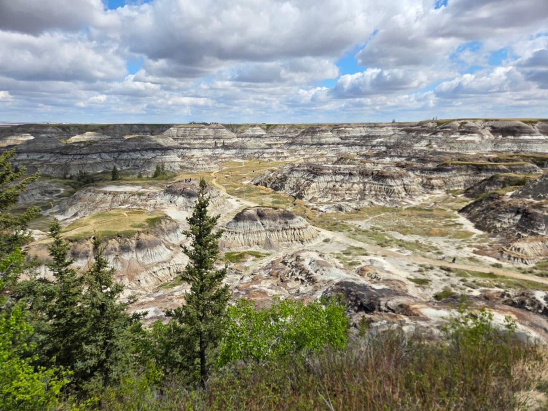 Eroded badlands hoodoos and coulees under a vast Alberta sky at Dinosaur Provincial Park