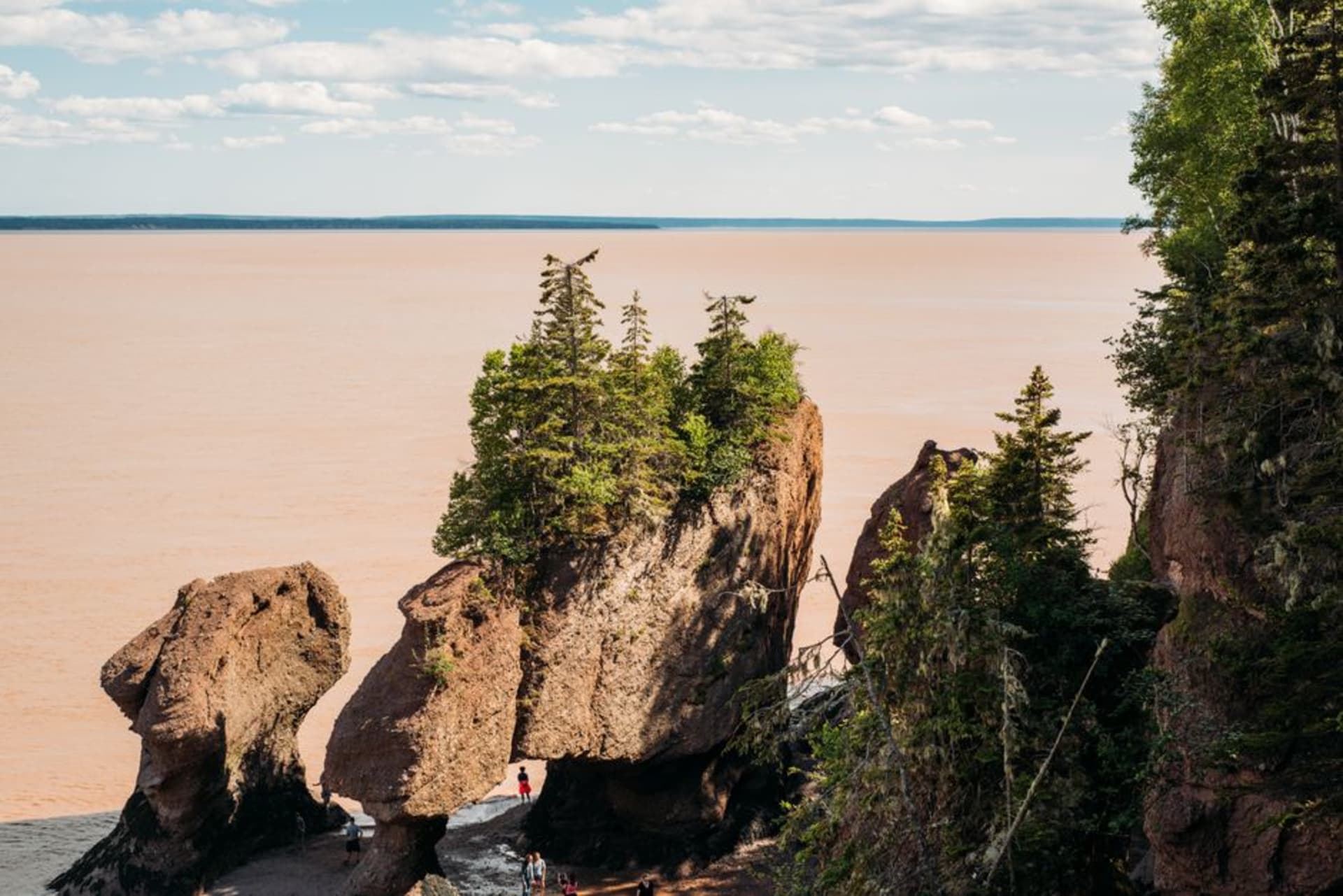 Flowerpot rock formations topped with trees standing on the exposed ocean floor at Hopewell Rocks