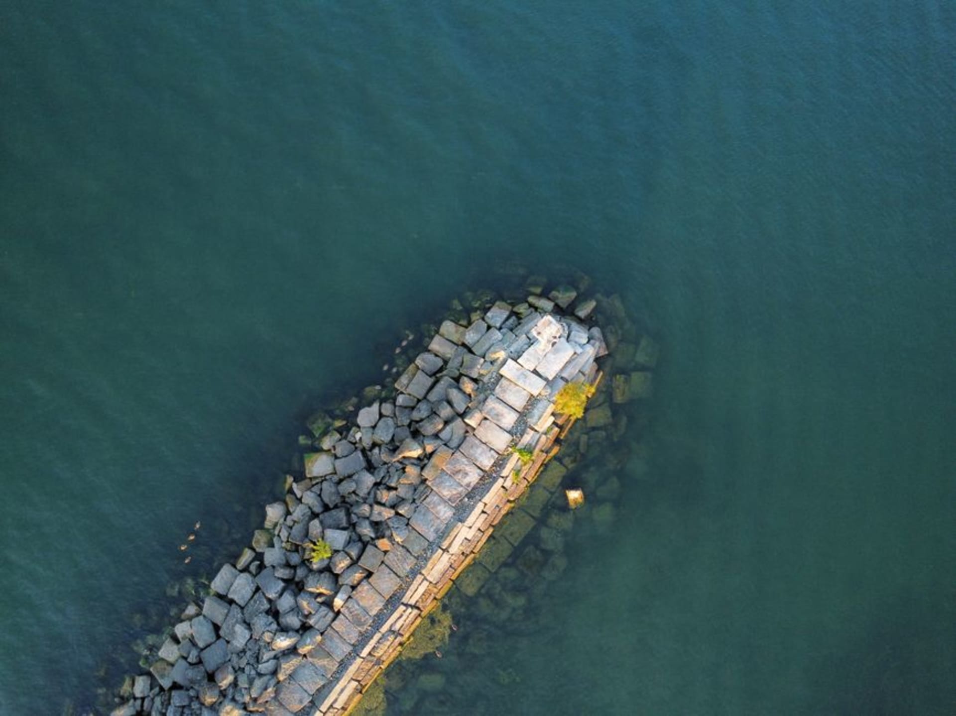 Lake Erie shoreline of Pelee Island with vineyards visible inland at golden hour