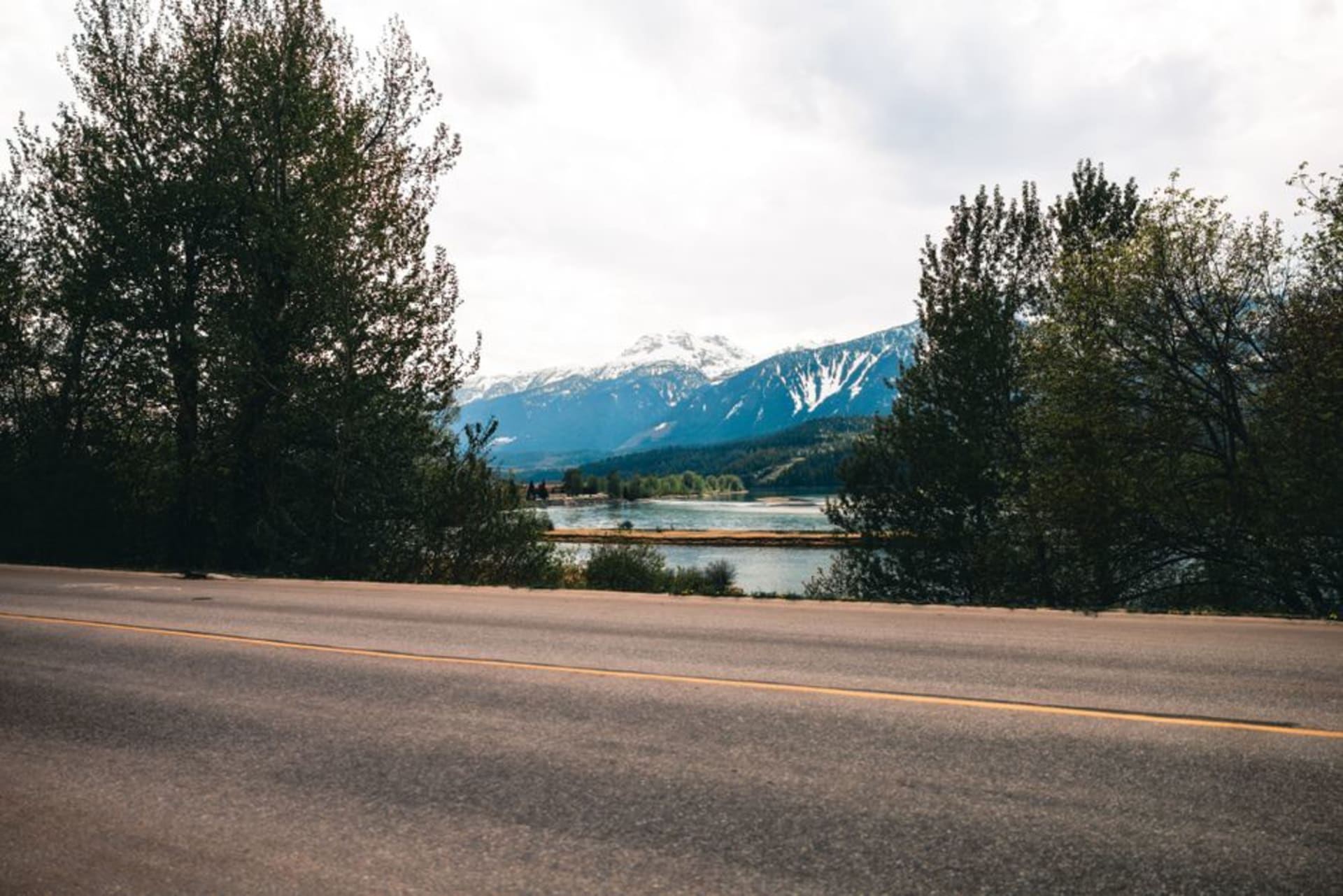 Snow-laden evergreen forest and steep peaks of the Selkirk Mountains above Revelstoke
