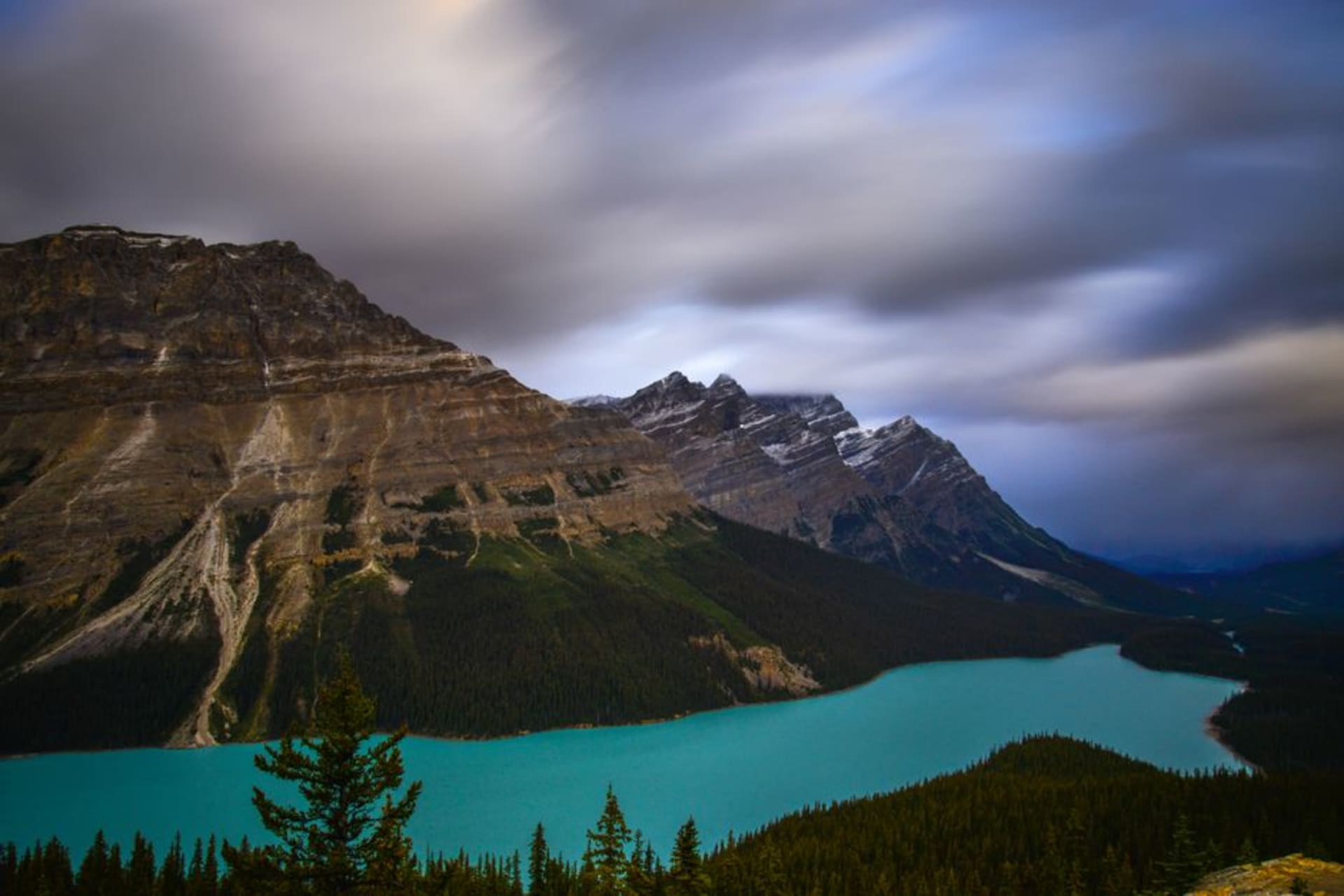 The turquoise waters of Peyto Lake seen from the Bow Summit lookout, surrounded by pine forest and mountains