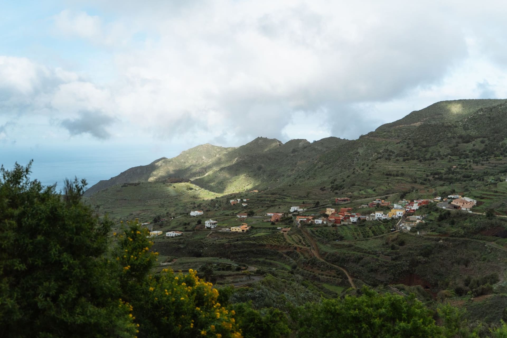 Ancienne forêt de laurisilva dégoulinant de mousse et de fougères dans la péninsule d'Anaga, nord de Tenerife